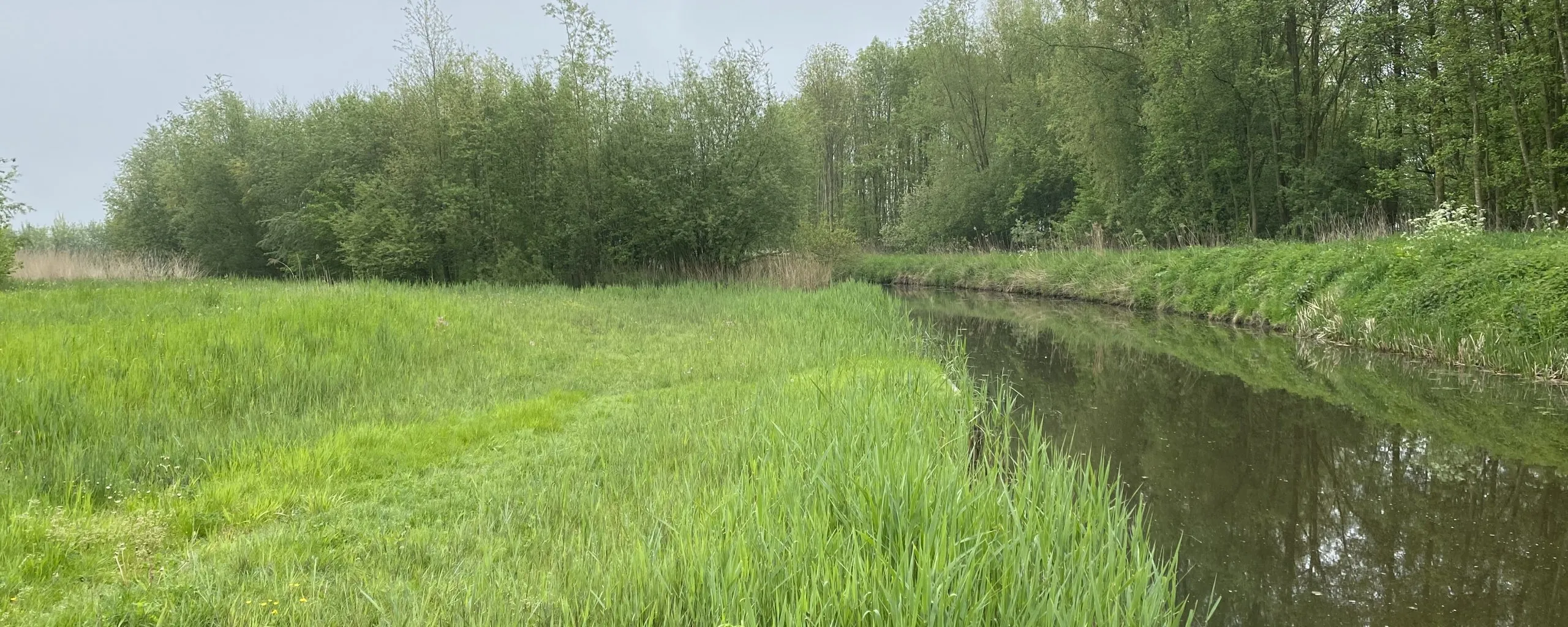 afbeelding-20230508-091359-286a1686