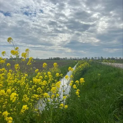 Terheijden-Zonzeel huidige situatie