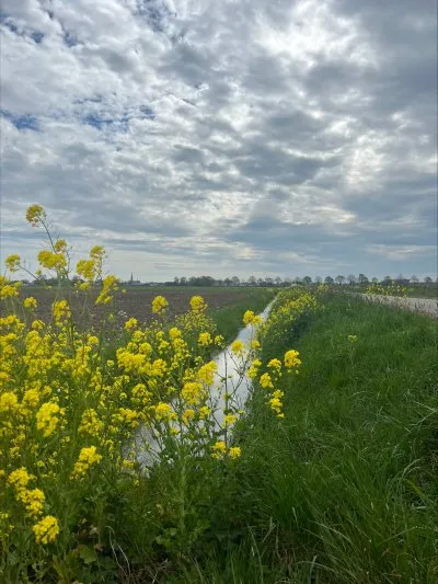 Terheijden-Zonzeel huidige situatie