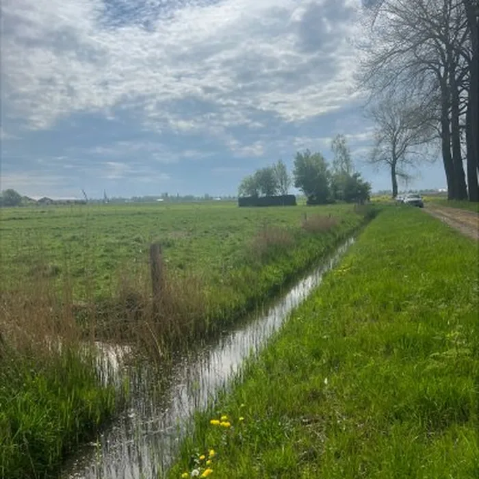 Huidige situatie