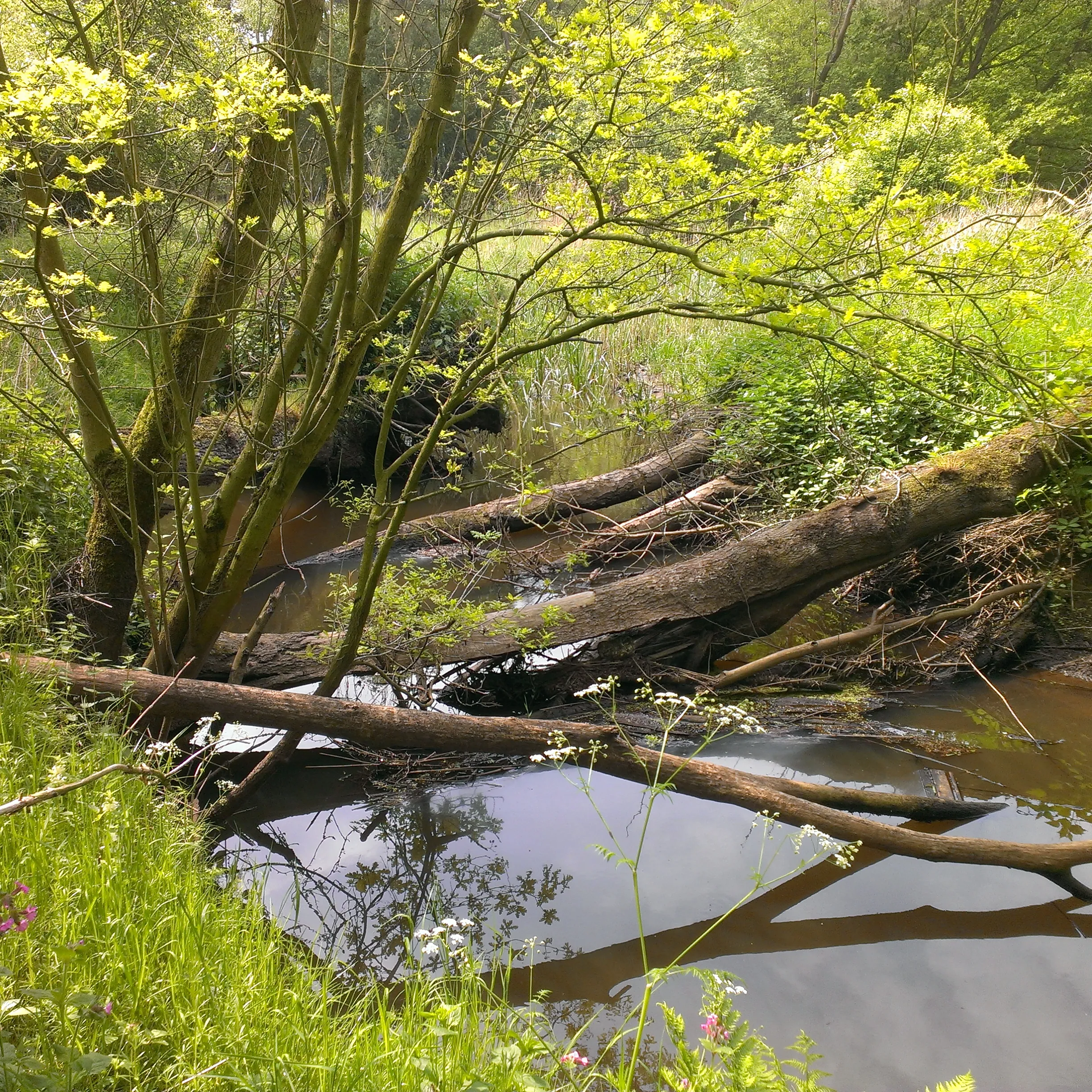 Contact EVZ Landstand de Baronie
