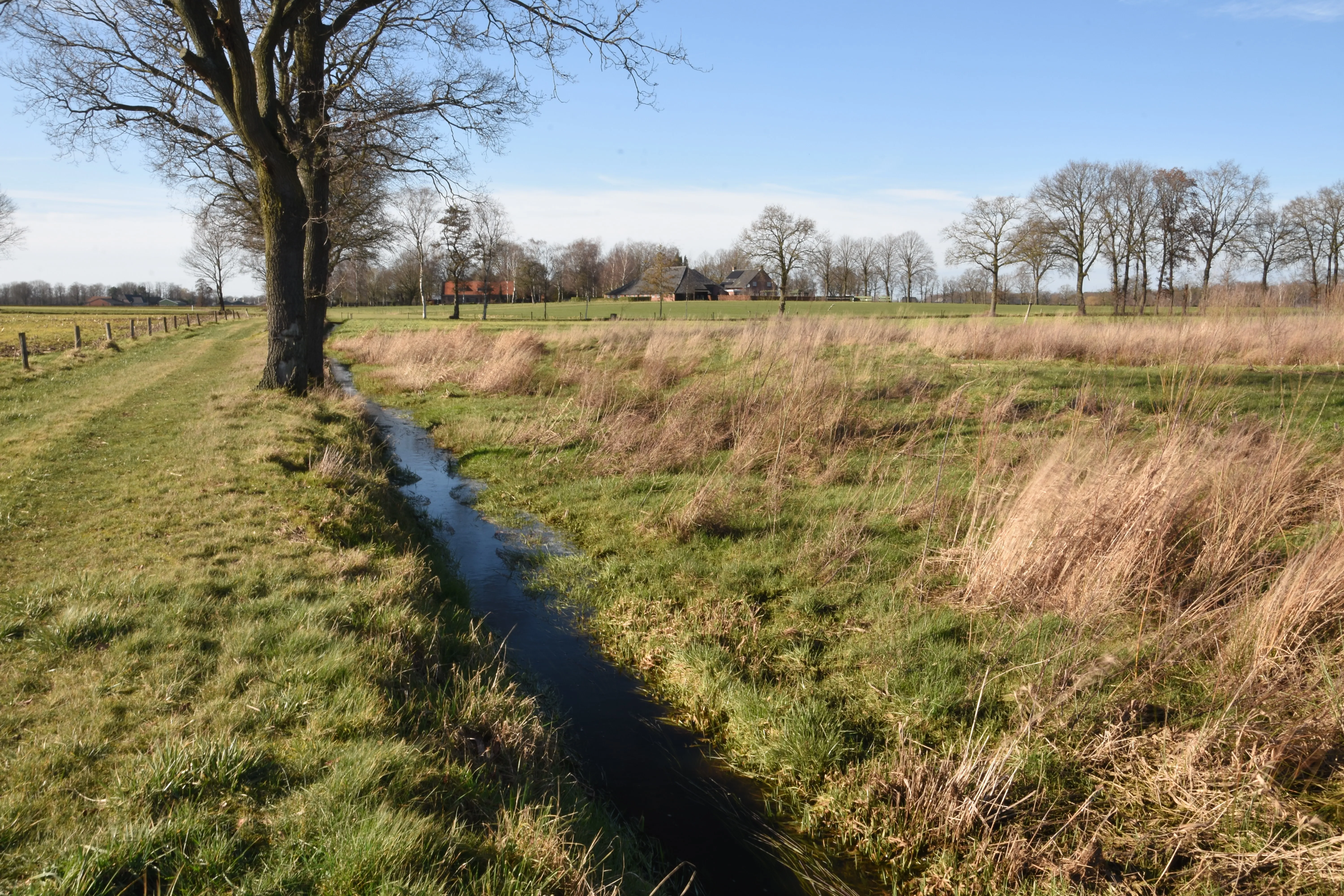 Slim omgaan met water? Ontvang subsidie!