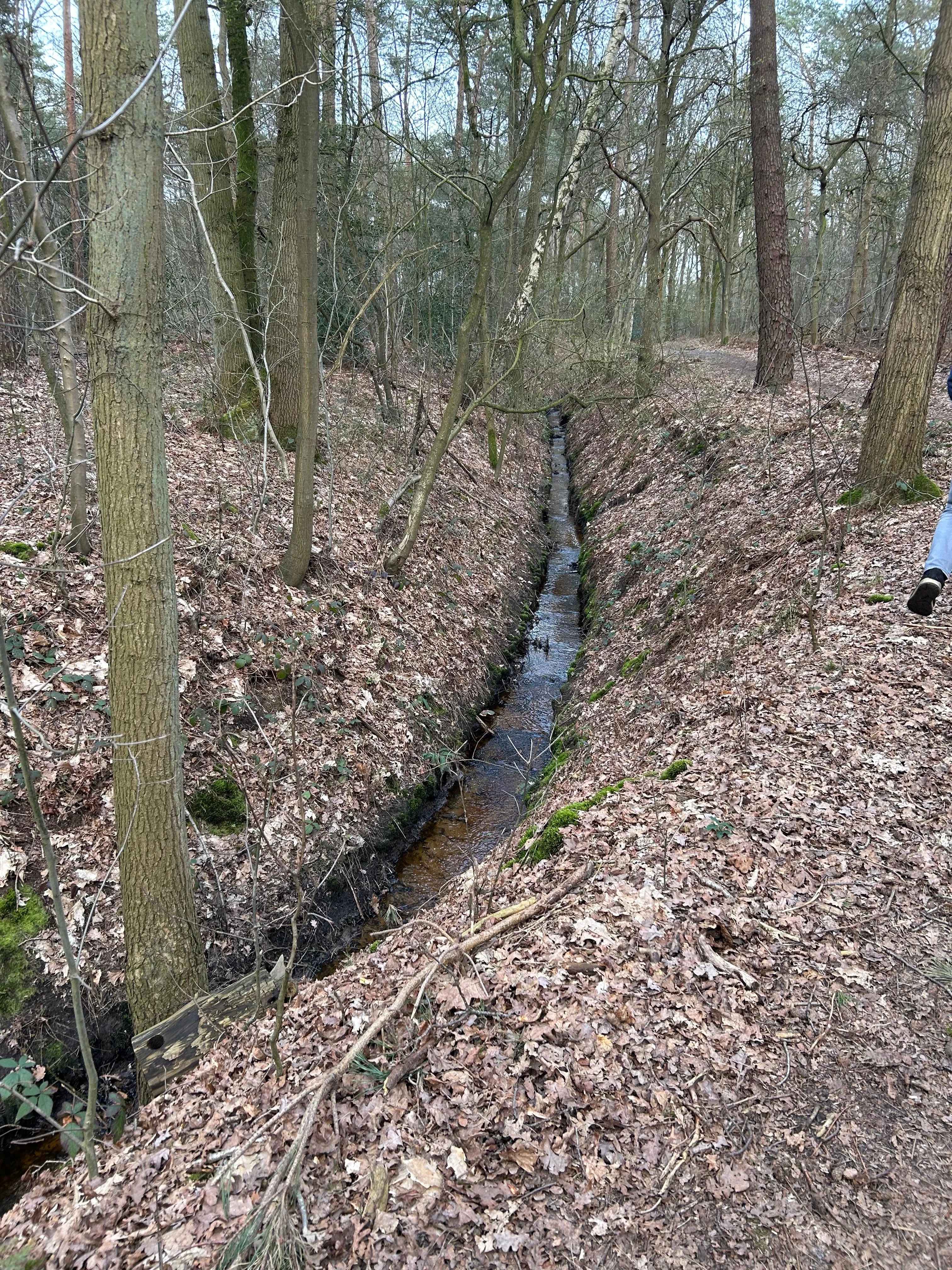 Start herinrichting beek Heiloop (’t Loopke): belangrijke stap tegen verdroging Natura 2000-gebied