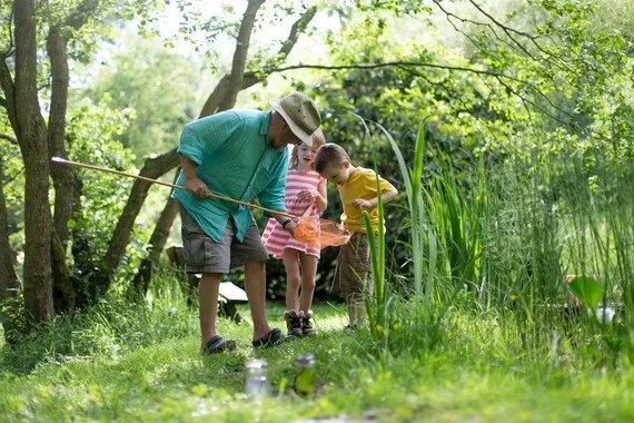Wateronderzoek – Waterdiertjes