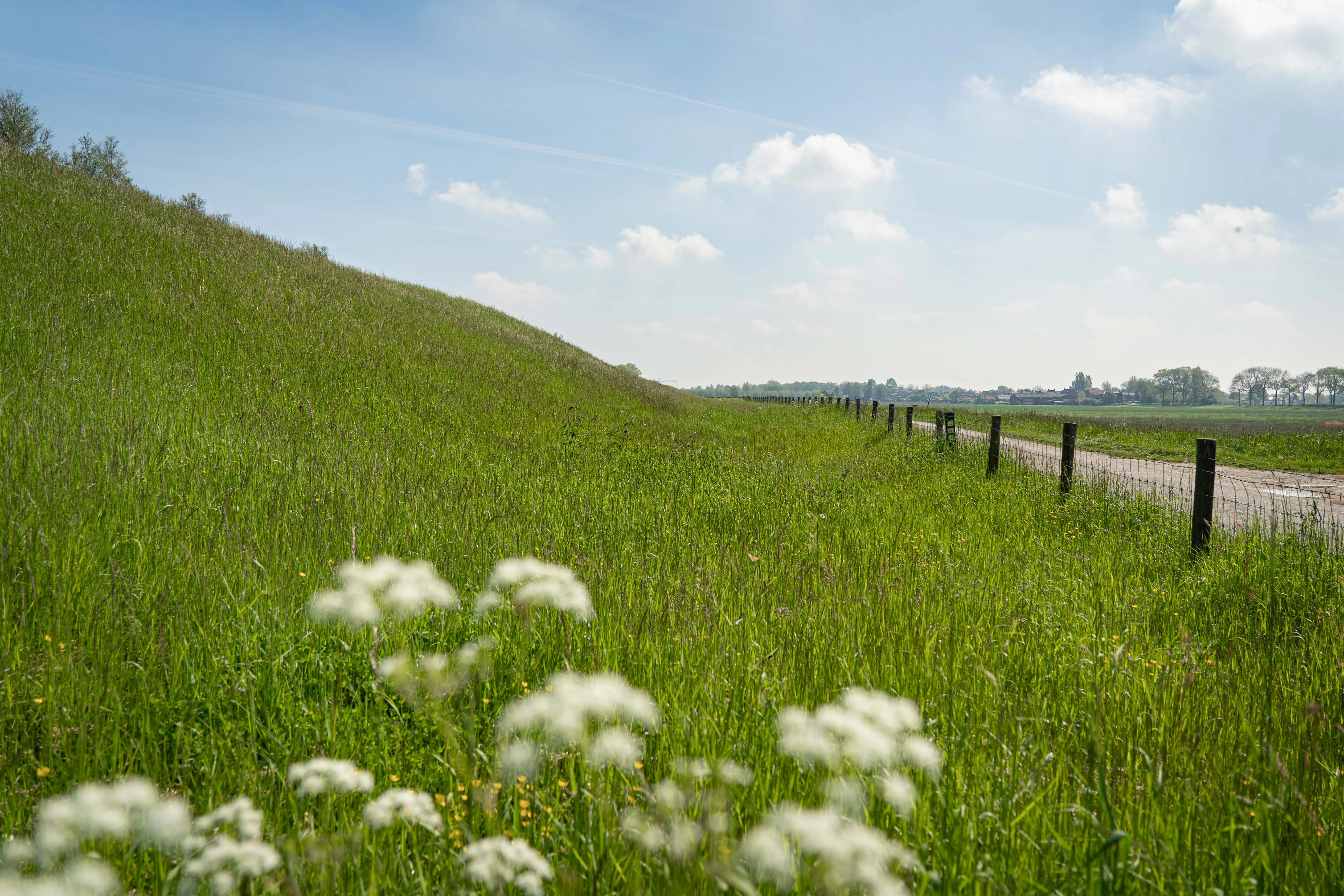 Waterschap start nieuwe procedure voor veilige keringen