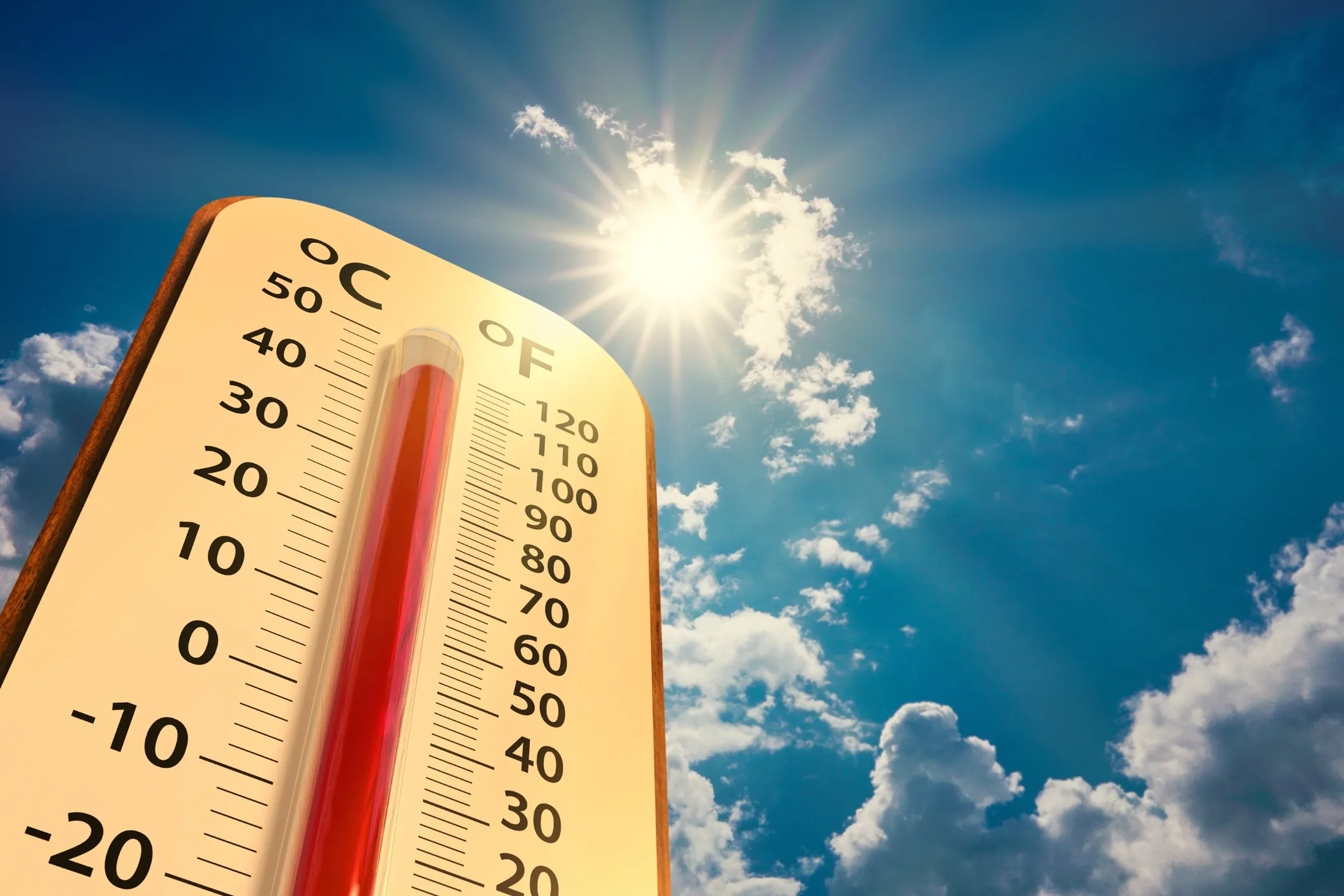 Zomerblog - Maaiwerkzaamheden aangepast door warm water