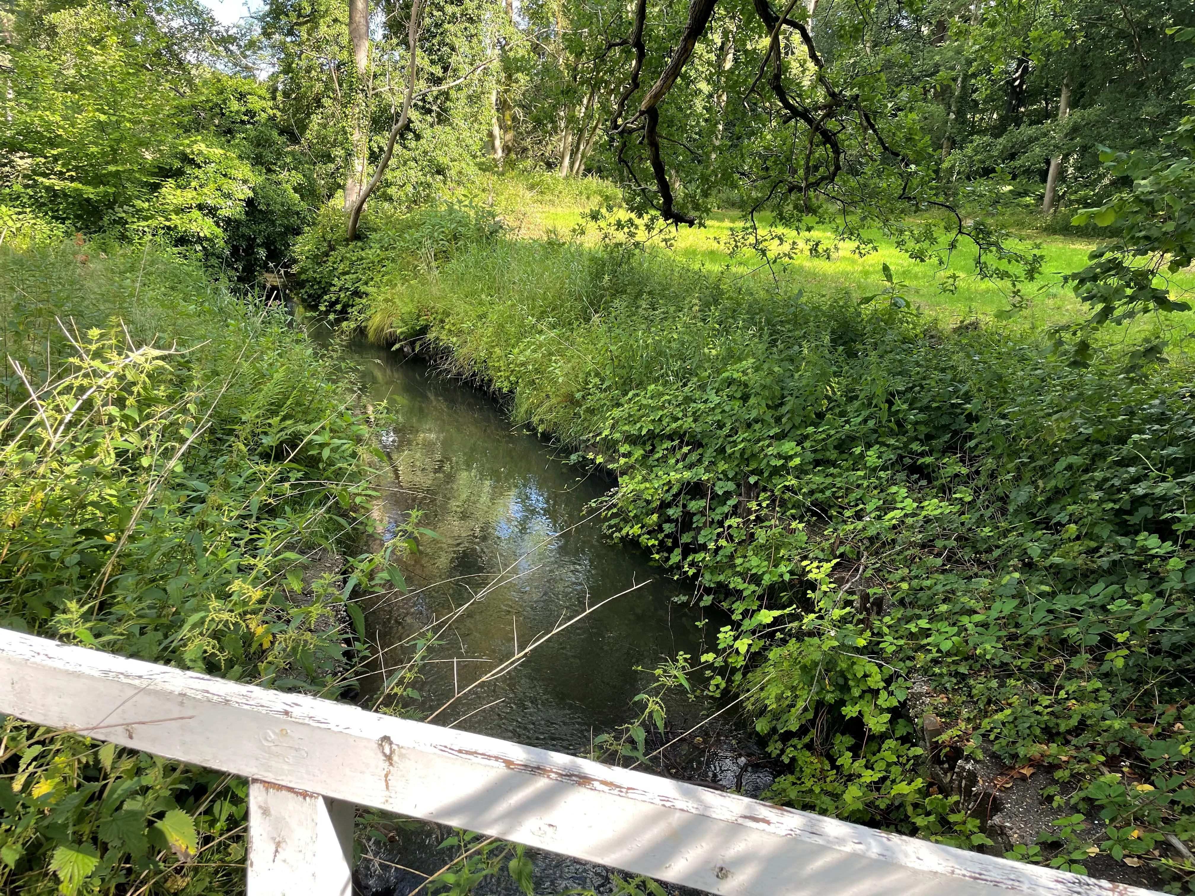 image-3 Chaamse Beek vanaf bruggetje landgoed Valkenberg