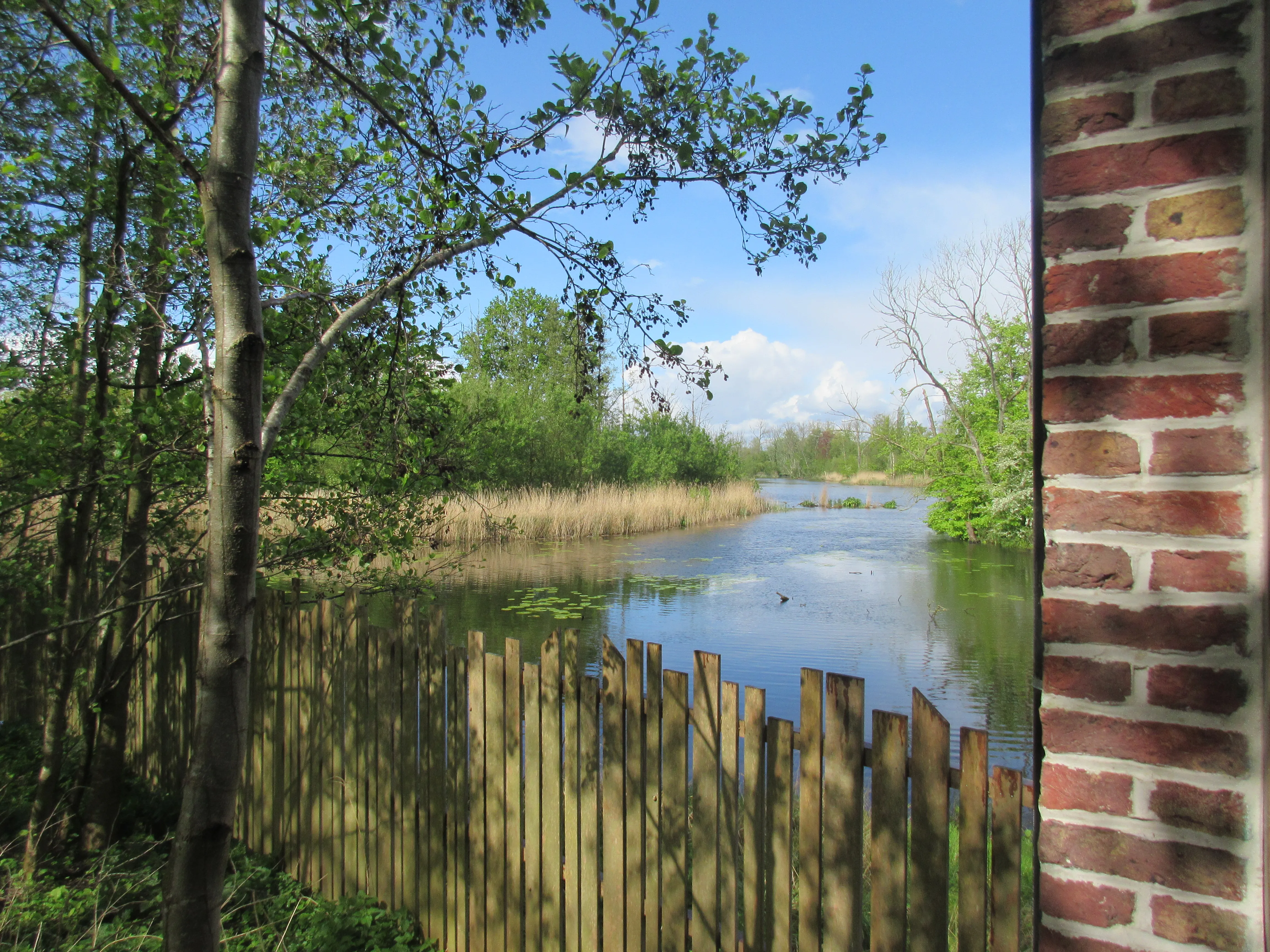 img_3821 - Leefgebied van de otter in de Scheldevallei