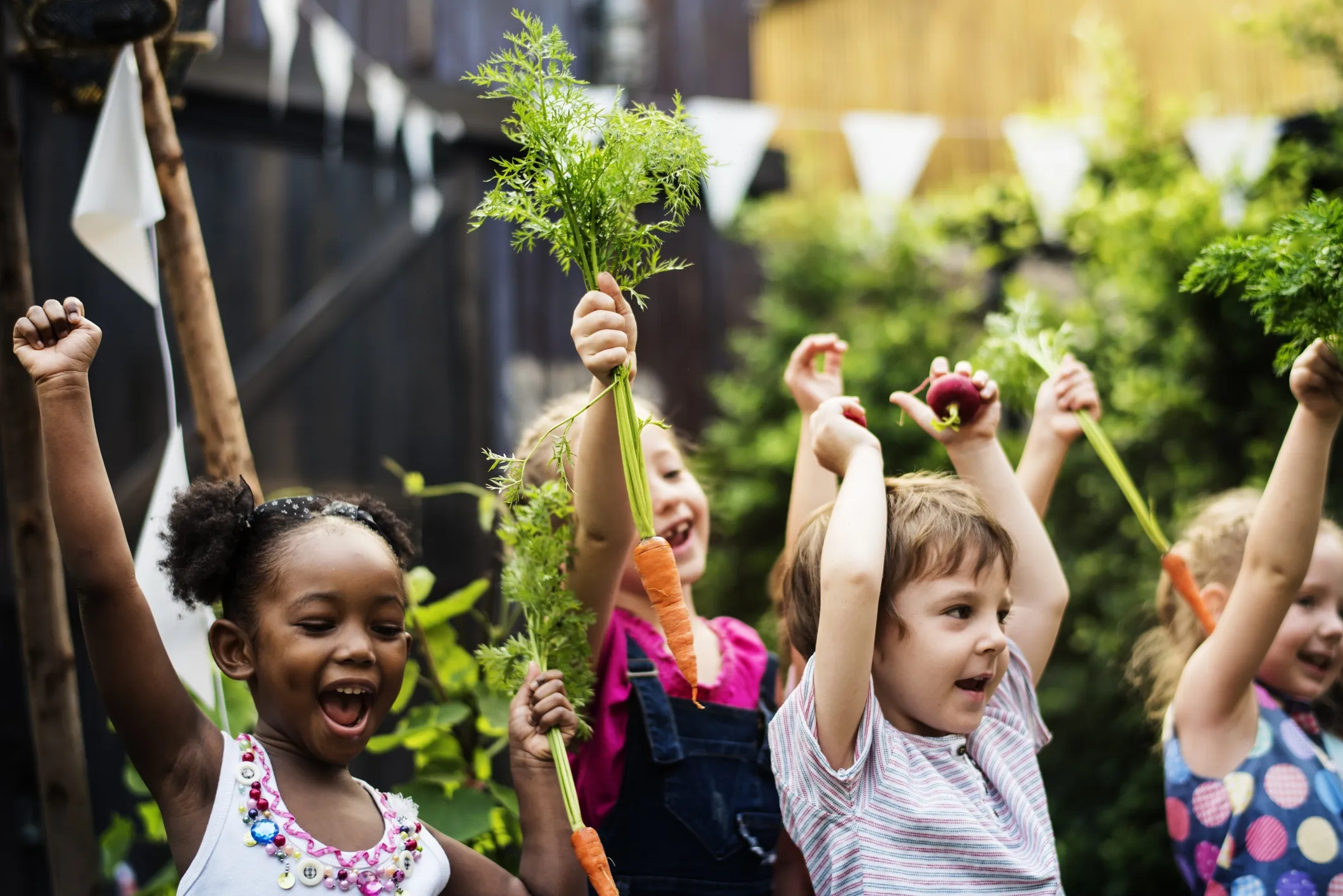 moestuin-op-schoolplein_0