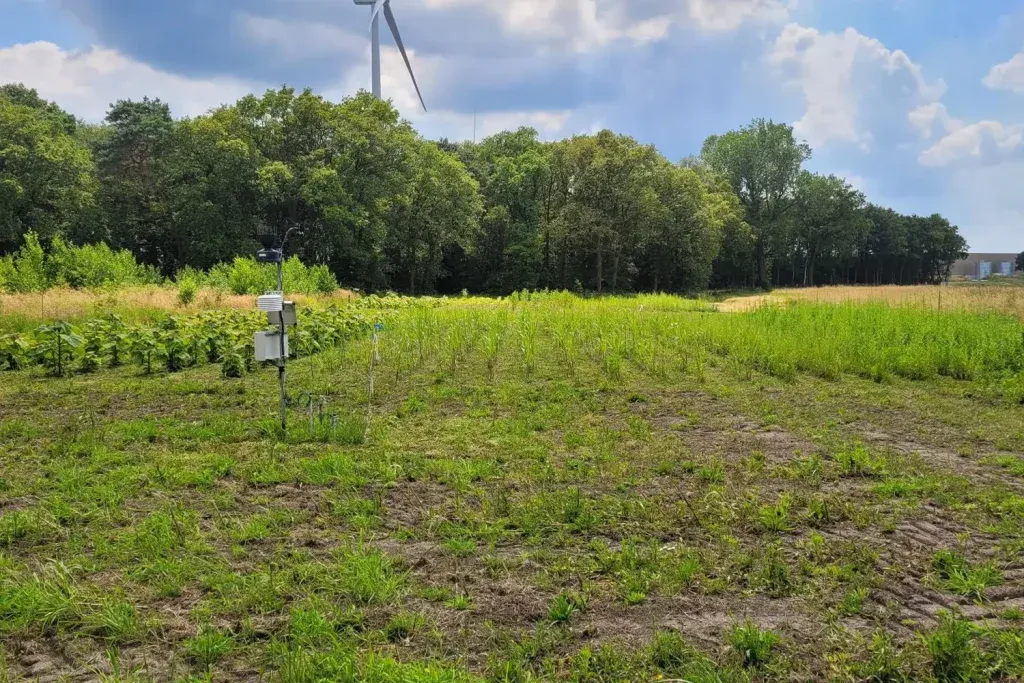 productieve_bufferstroken