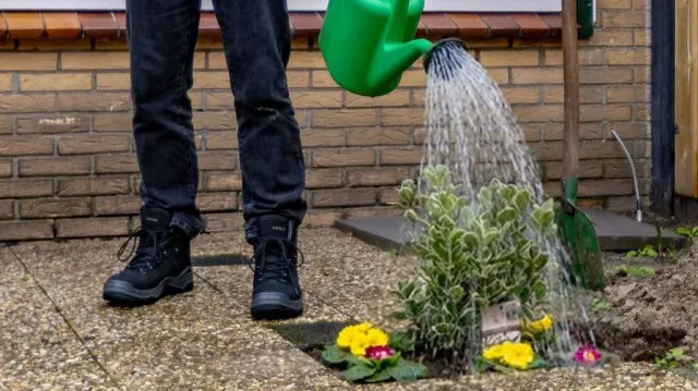 Stap 6 - Water geven