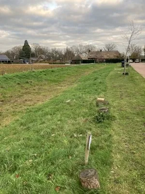 Subsidie voor het aanleggen van een wadi