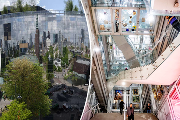 Afbeelding van LIVE VEILING - Tour Depot Boijmans Van Beuningen voor 10 personen incl. lunch