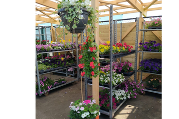 Afbeelding van Plantenbak vullen naar keuze (met planten)