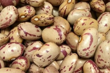 Afbeelding van Grauwe erwtenbonen met spek eten bij Leo en Agnes