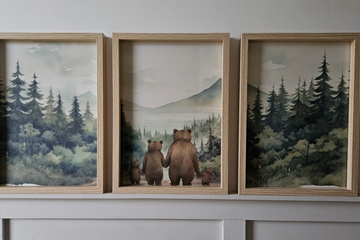 Afbeelding van 3 ingelijste posters en 5 bijpassende wenskaarten