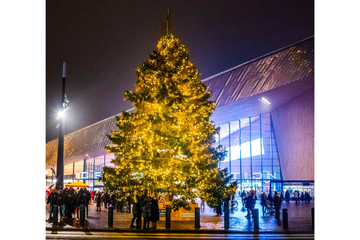 Afbeelding van Kerstboom + versieren op locatie
