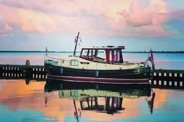 Afbeelding van Zeehonden en dolfijnen spotten op de Oosterschelde
