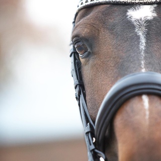Afbeelding van Hoofdstellen