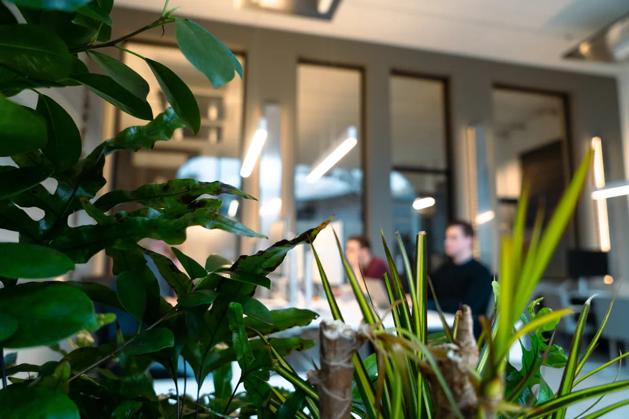 Planten op kantoor