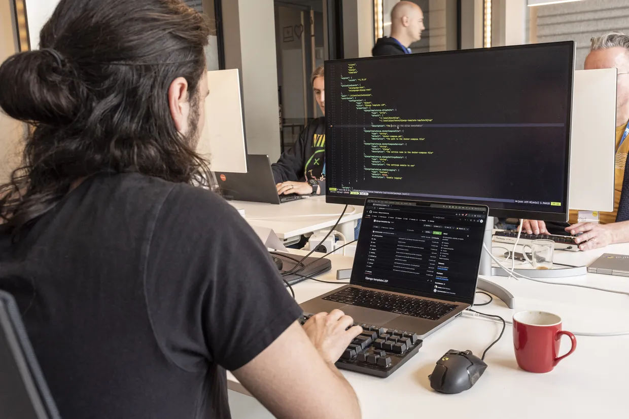 Software development