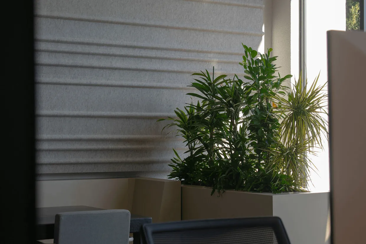 Plant bij zithoek voorzijde