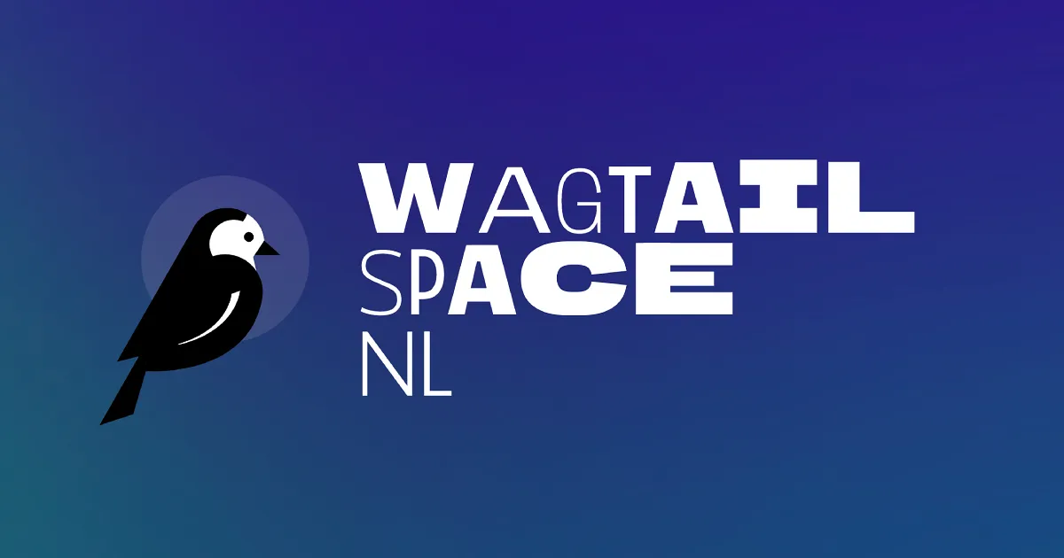 Wagtail Space 2024 Logo
