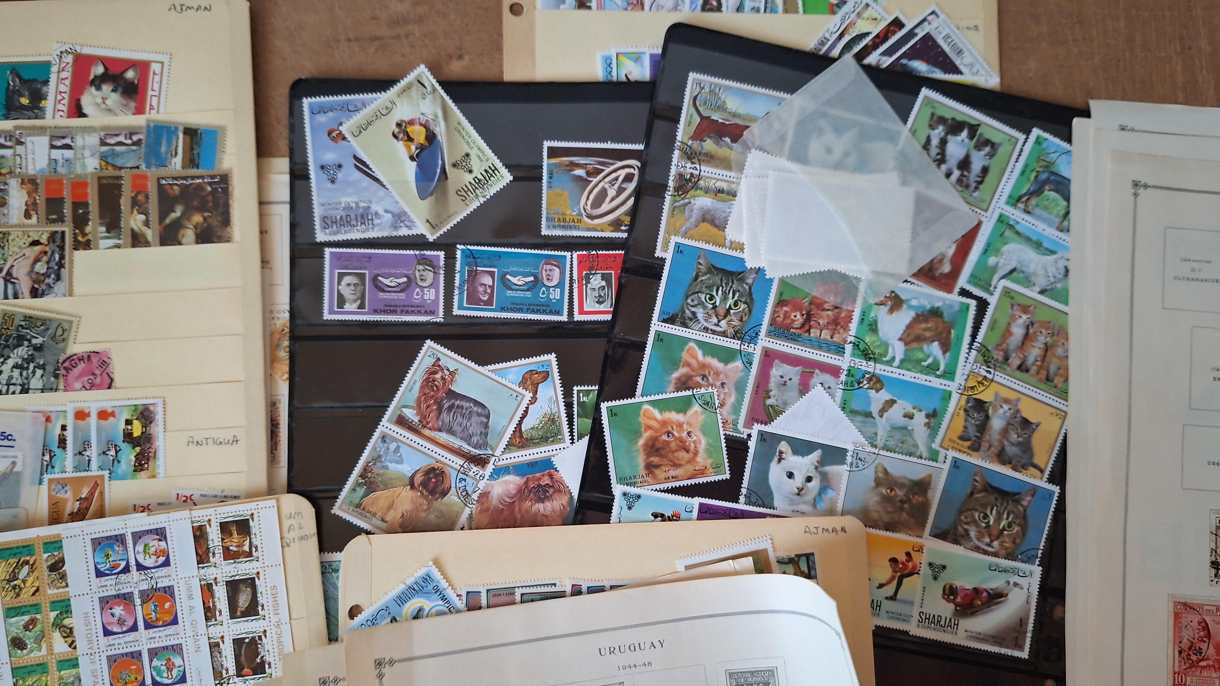 Verzameling postzegels op insteekbladen en losse bladen, diverse landen en thema's – foto 3 – kavel bij Goeiendeal