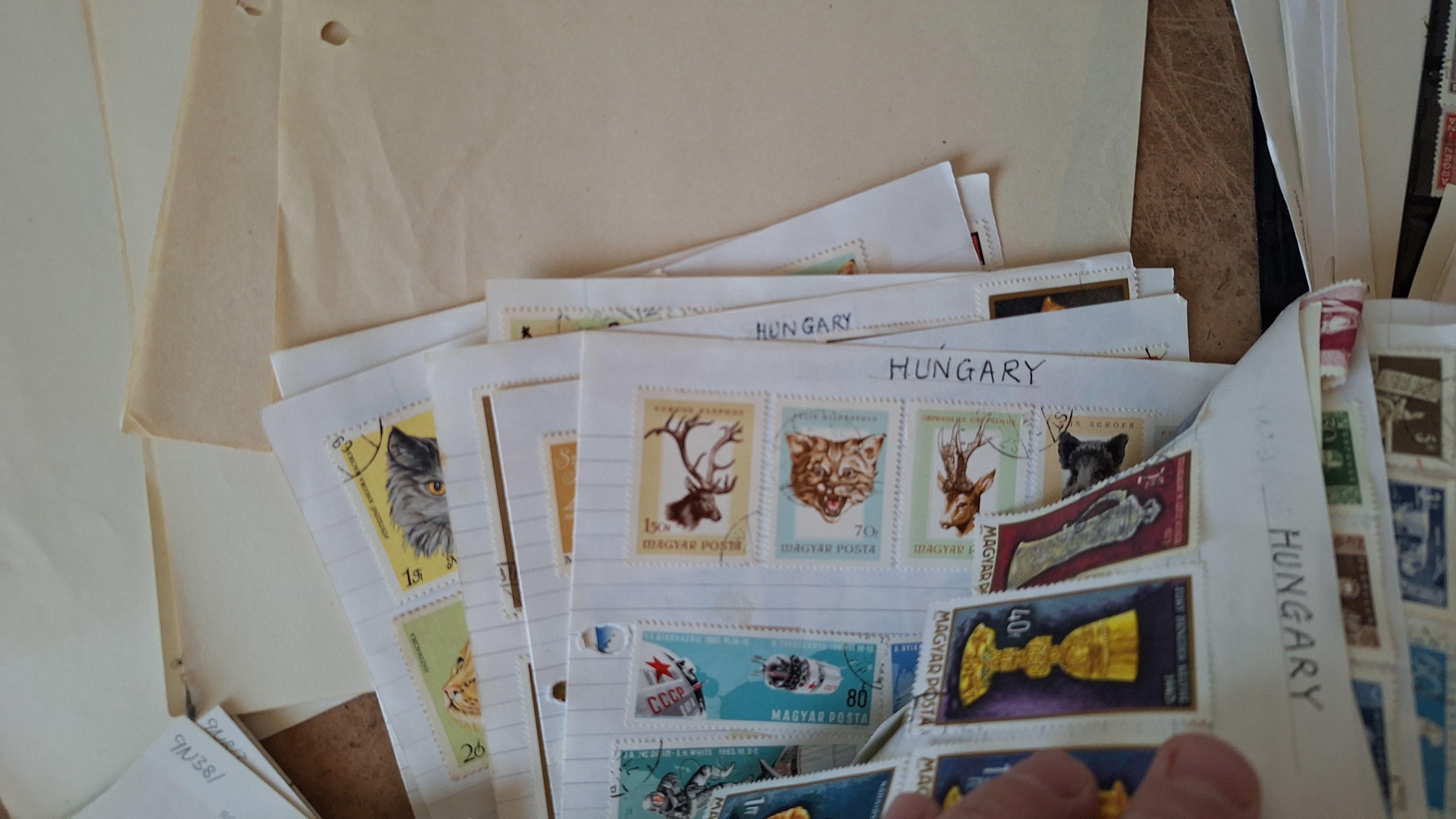 Verzameling postzegels op insteekbladen en losse bladen, diverse landen en thema's – foto 3 – kavel bij Goeiendeal