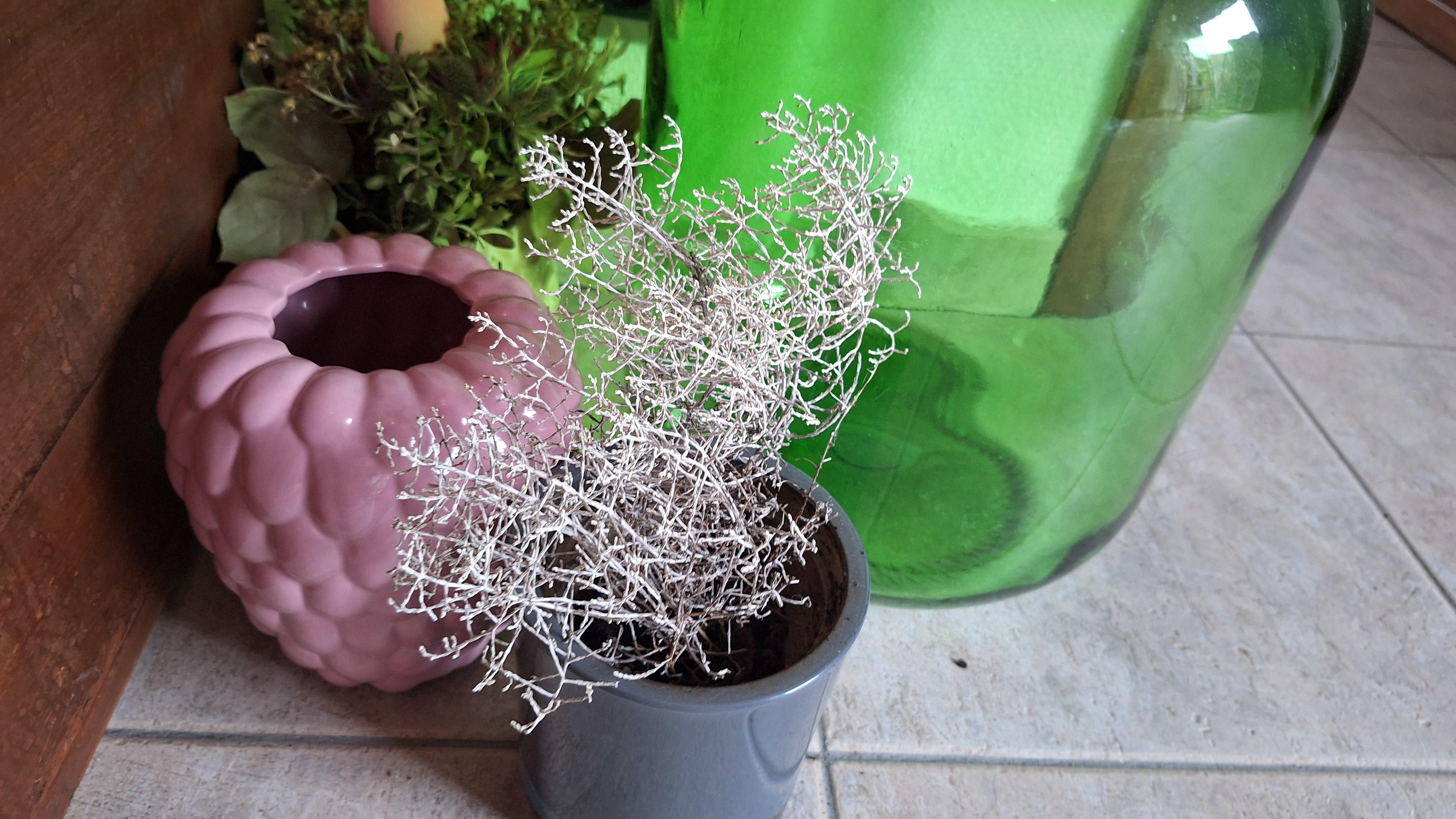 Grote groene gistingsfles met kurk en droogbloemdecoratie samen met twee kleine bloempotten – foto 2 – kavel bij Goeiendeal, Houthalen-Helchteren