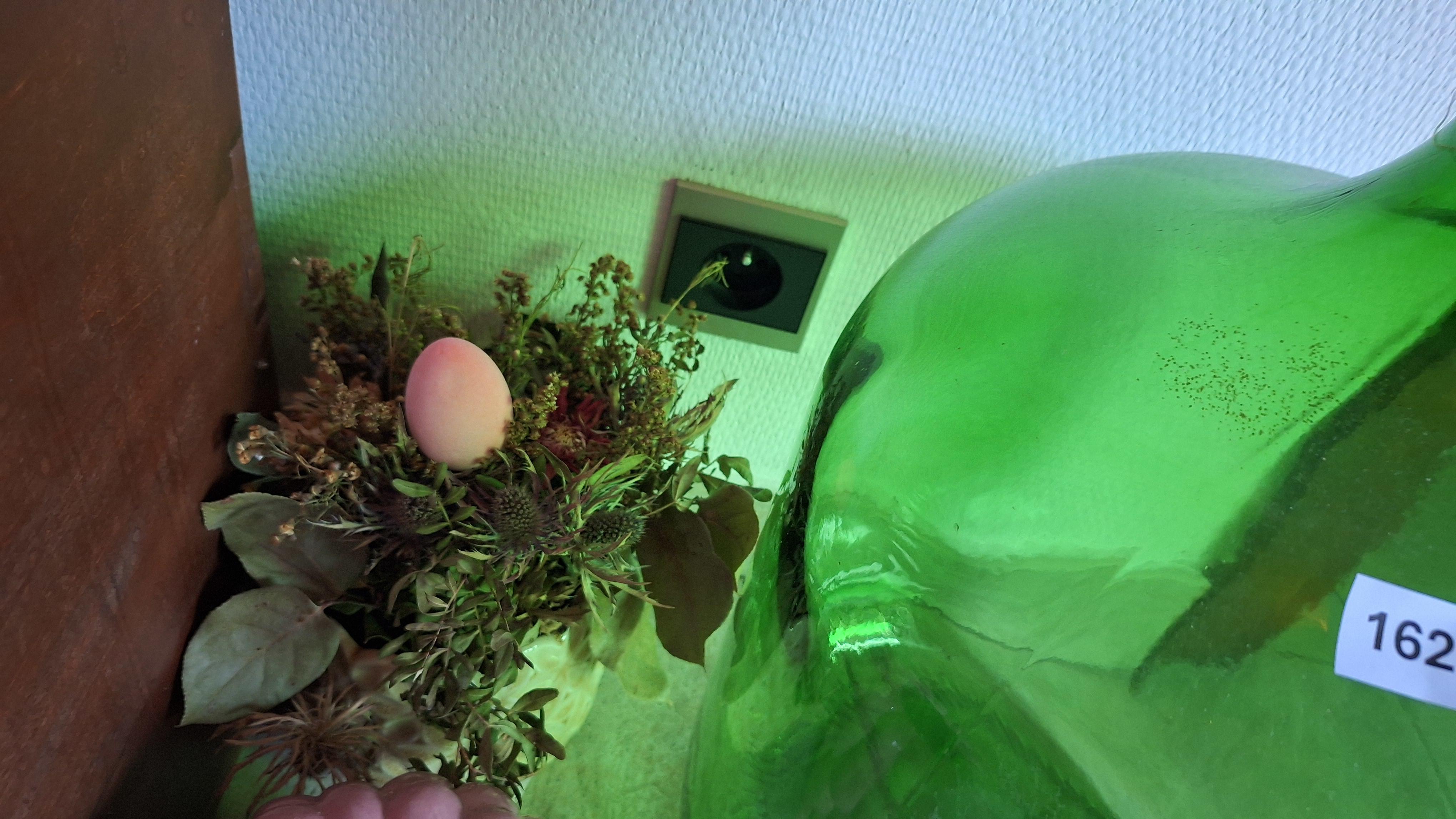 Grote groene gistingsfles met kurk en droogbloemdecoratie samen met twee kleine bloempotten – foto 3 – kavel bij Goeiendeal, Houthalen-Helchteren