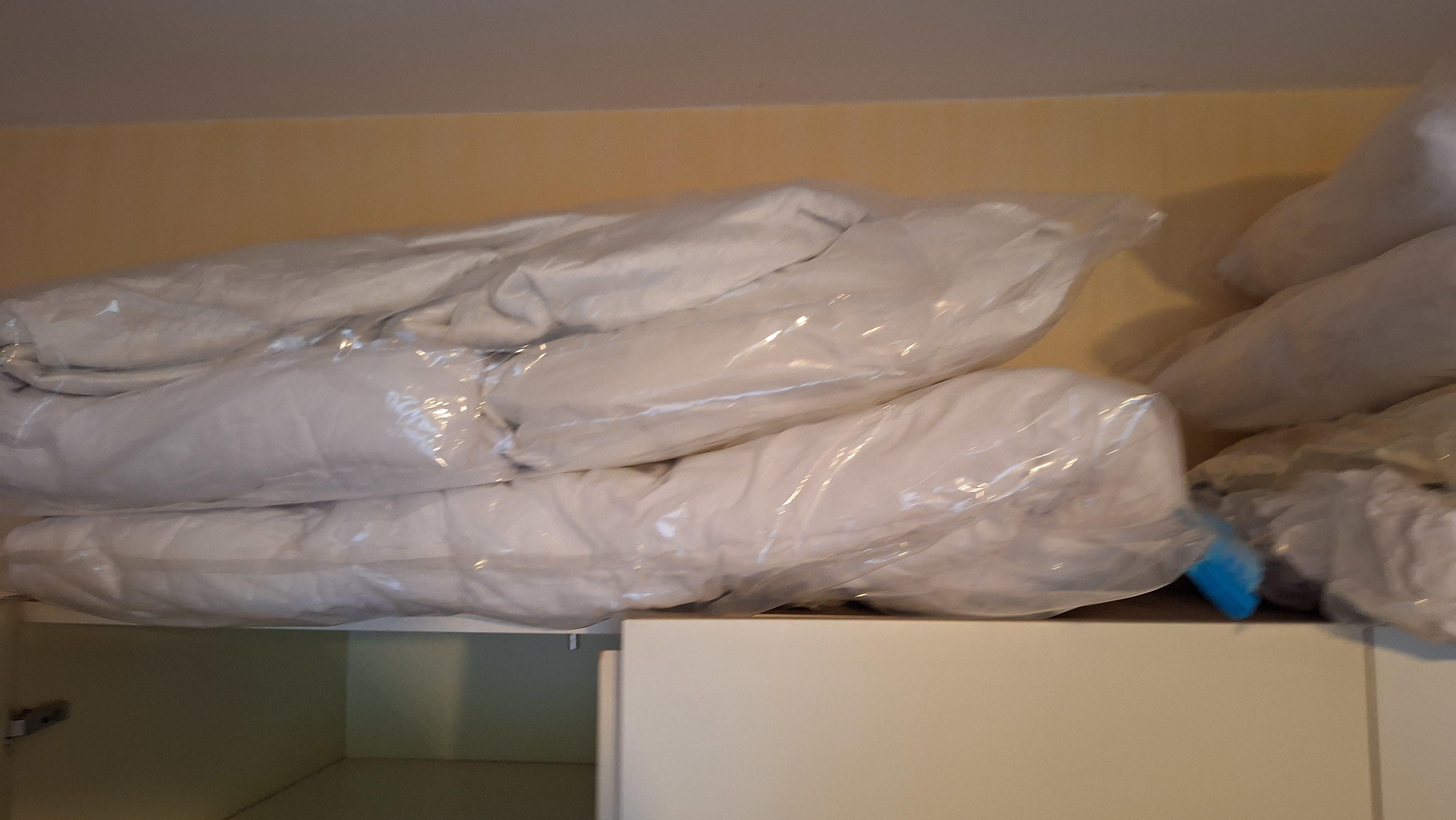 Partij diverse hoofdkussens en dekbedden afzonderlijk verpakt in plastic beschermhoezen – foto 2 – kavel bij Goeiendeal, Houthalen-Helchteren