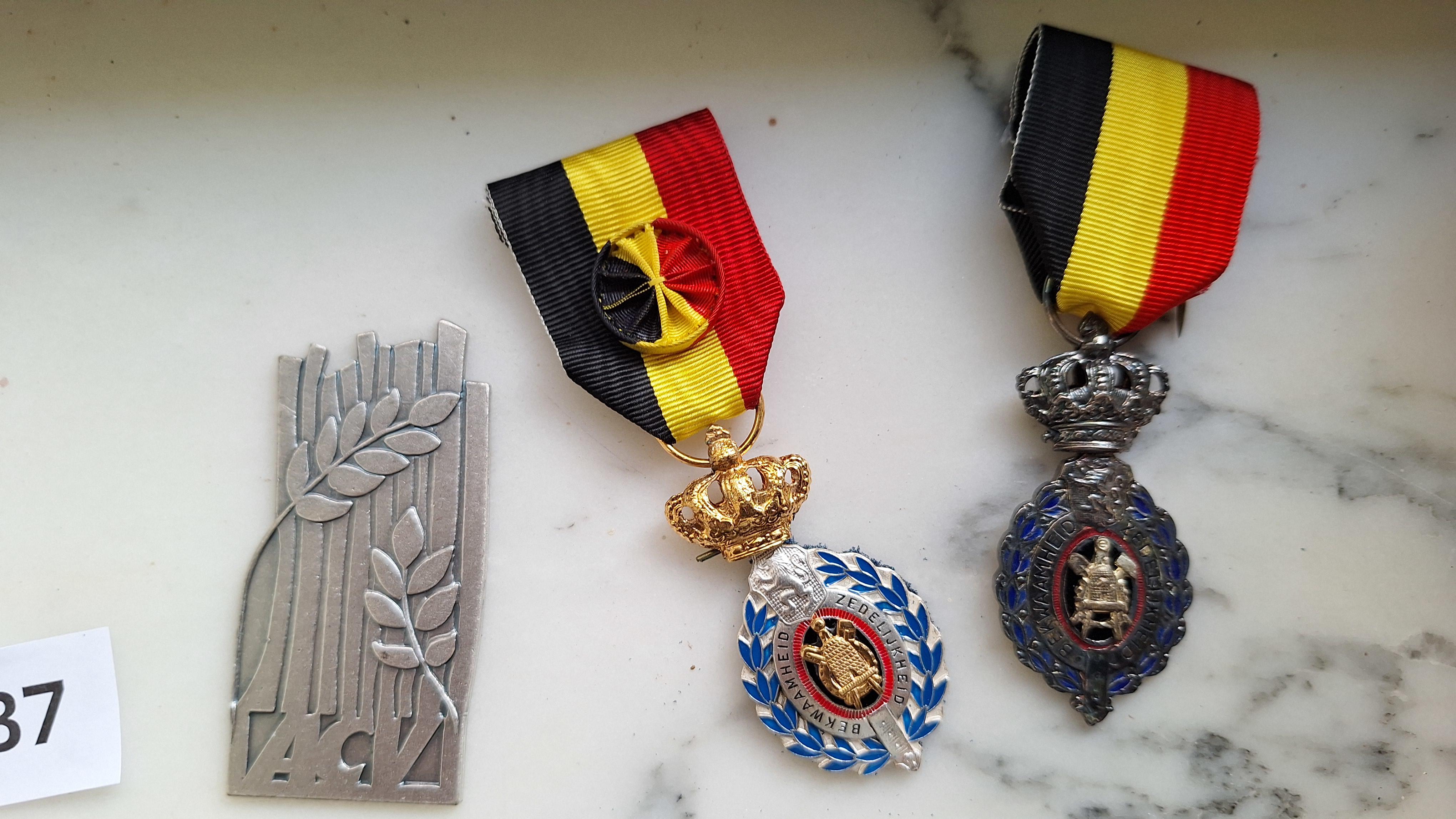 Set van 5 diverse onderscheidingen en pins waaronder Belgische medailles en een Ford-speld – foto 2 – kavel bij Goeiendeal, Houthalen-Helchteren