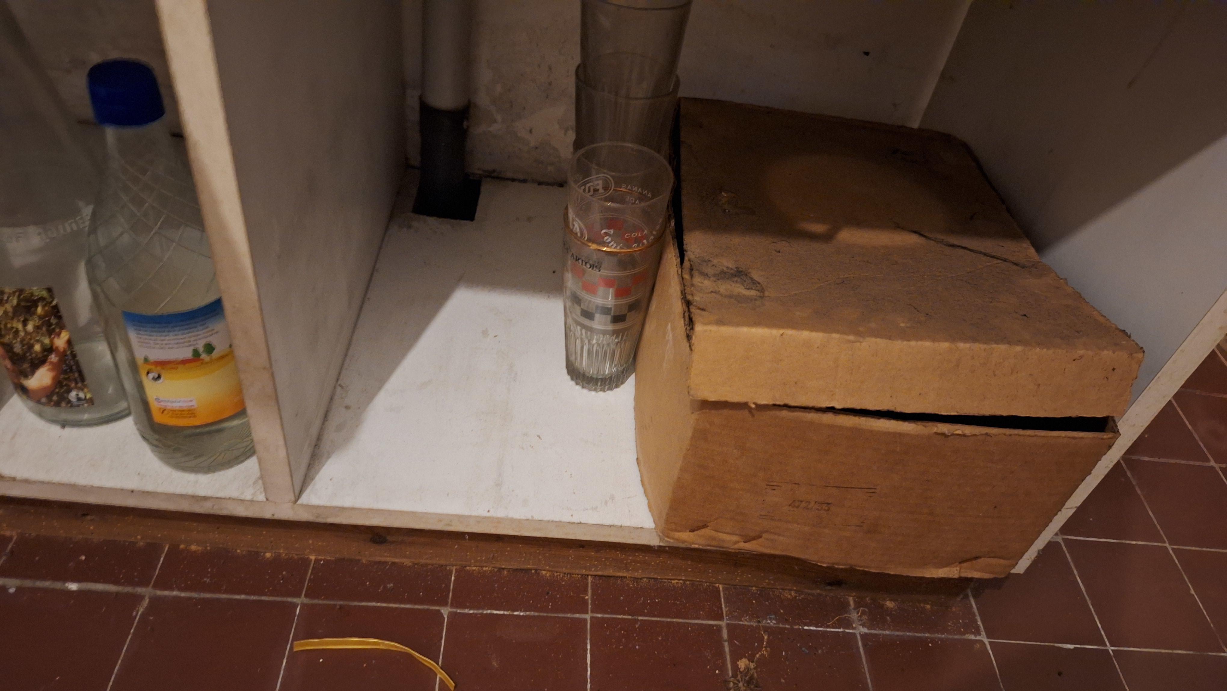 Inhoud van een voorraadkast bestaande uit diverse glazen weckpotten, conserven en flessen – foto 2 – kavel bij Goeiendeal, Houthalen-Helchteren