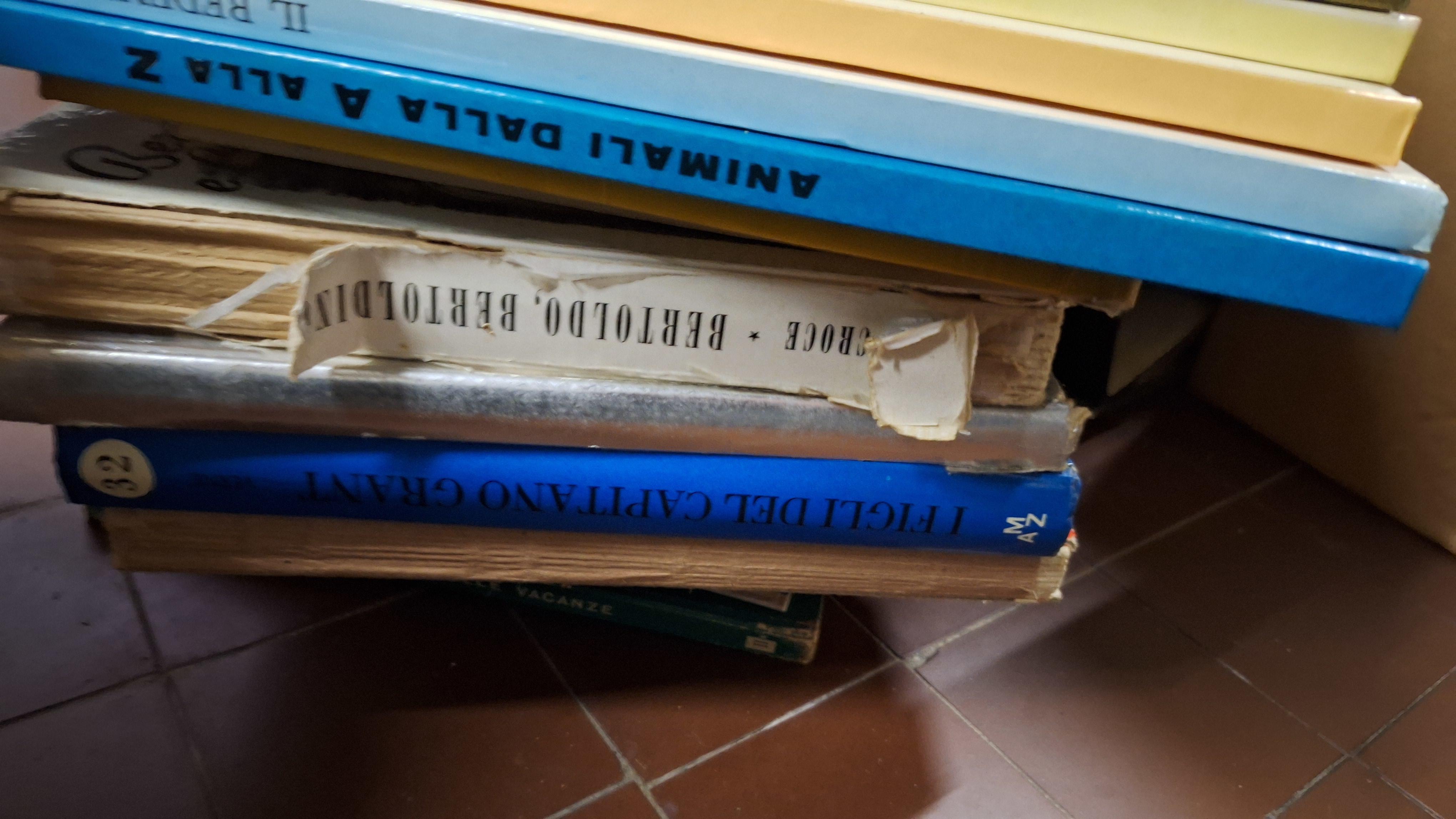 Stapel diverse italiaanstalige boeken en stripverhalen waaronder de titels I ragazzi della via Paal en Il richiamo della foresta – foto 2 – kavel bij Goeiendeal, Houthalen-Helchter
