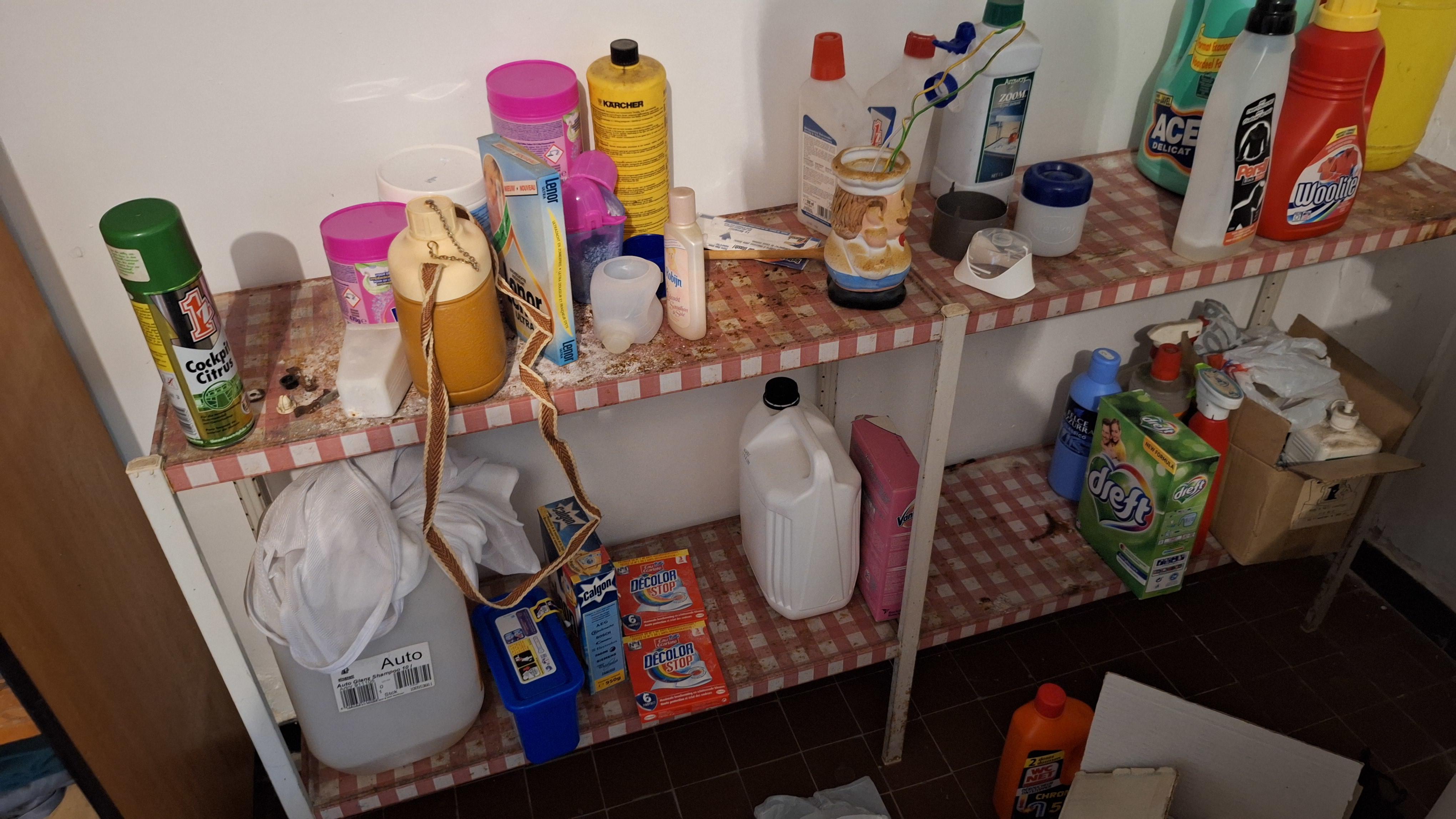 Grote partij diverse schoonmaakmiddelen, onderhoudsproducten, flacons en autoshampoo – foto 3 – kavel bij Goeiendeal, Houthalen-Helchteren