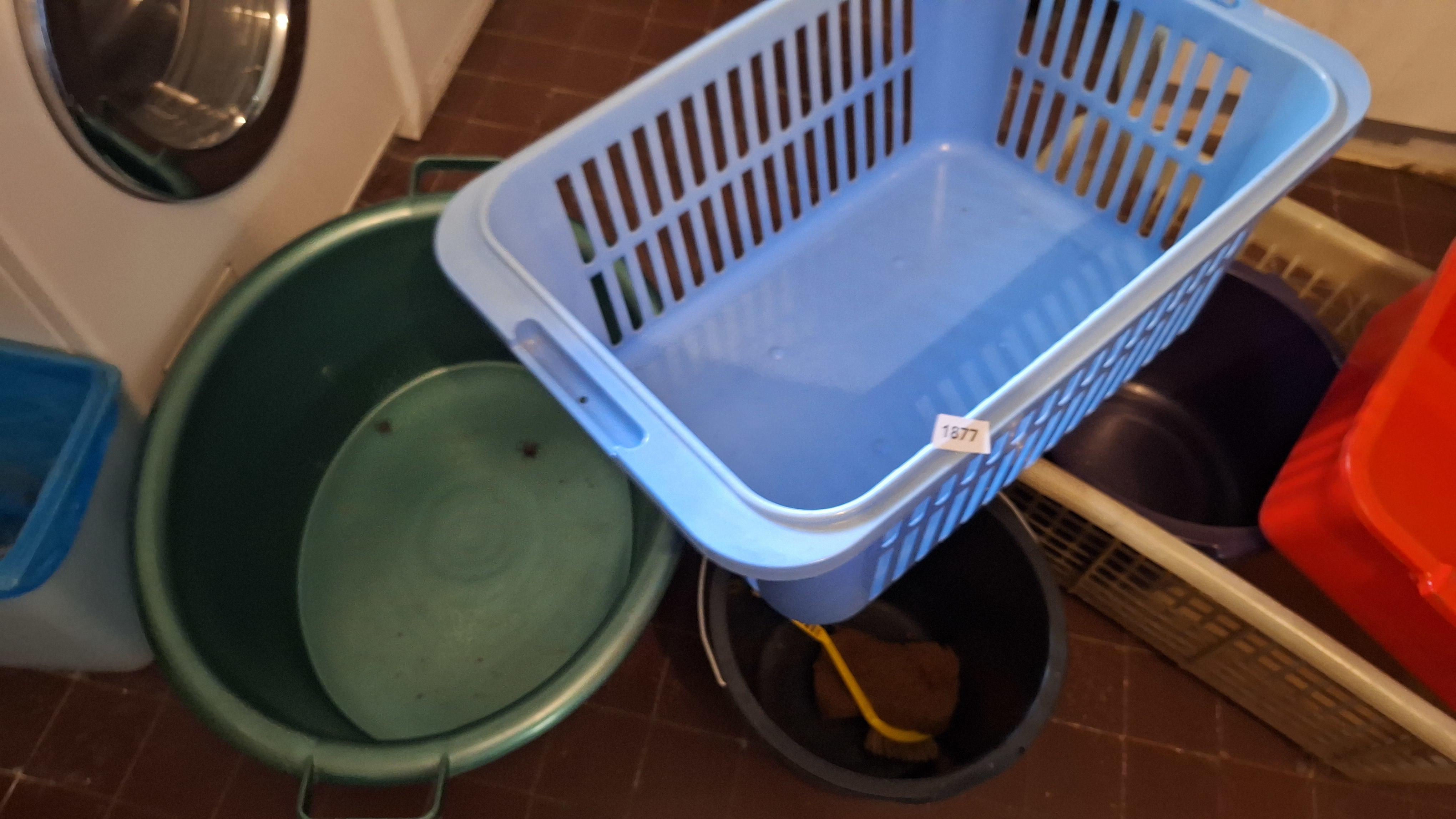 Partij diverse kunststof wasmanden, emmers en een teil in verschillende kleuren – foto 3 – kavel bij Goeiendeal, Houthalen-Helchteren