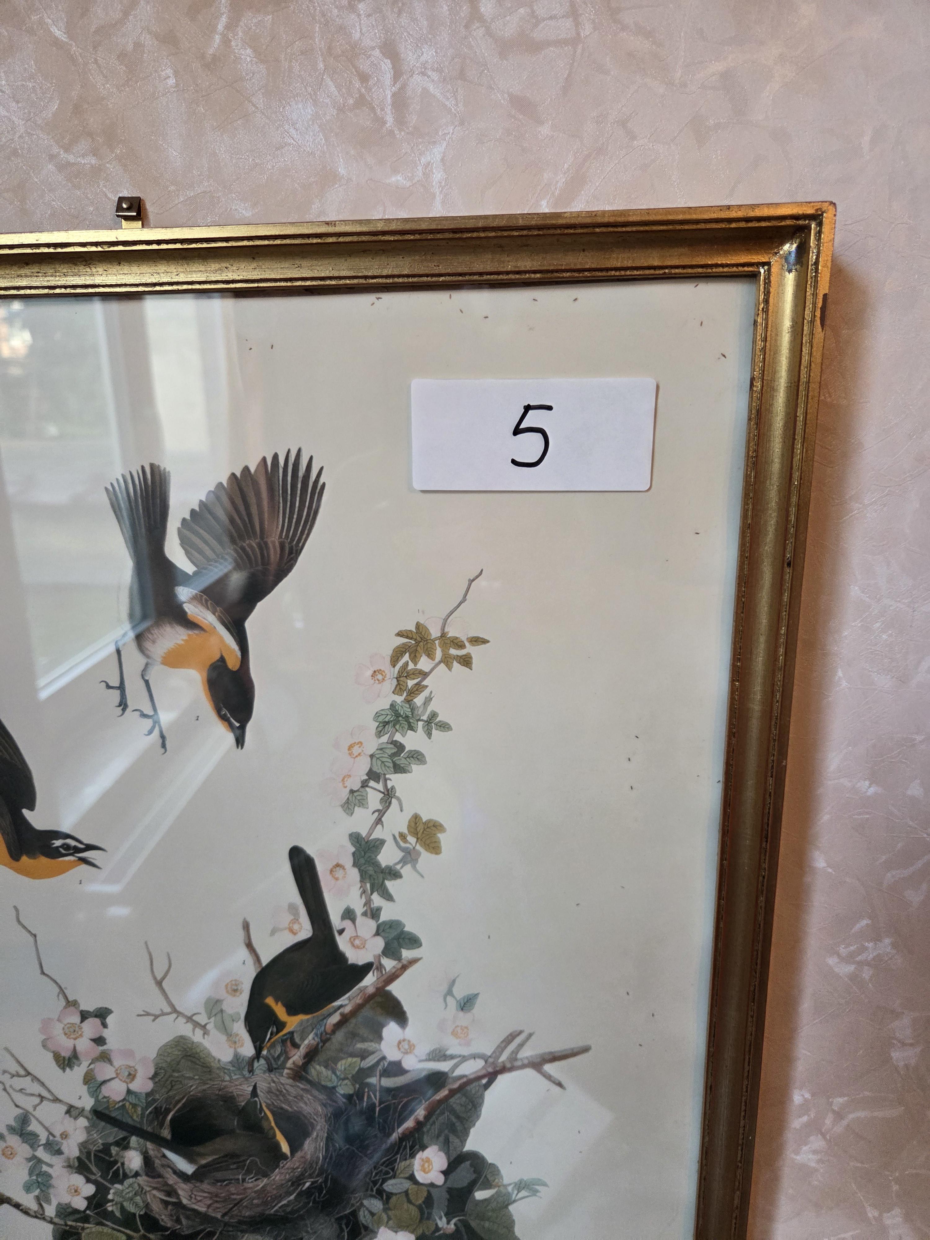 Ingekaderde prent met vogels en vogelnest "Yellow-breasted Chat" naar J.J. Audubon lot 5 – foto 3 – kavel bij Goeiendeal, Jette