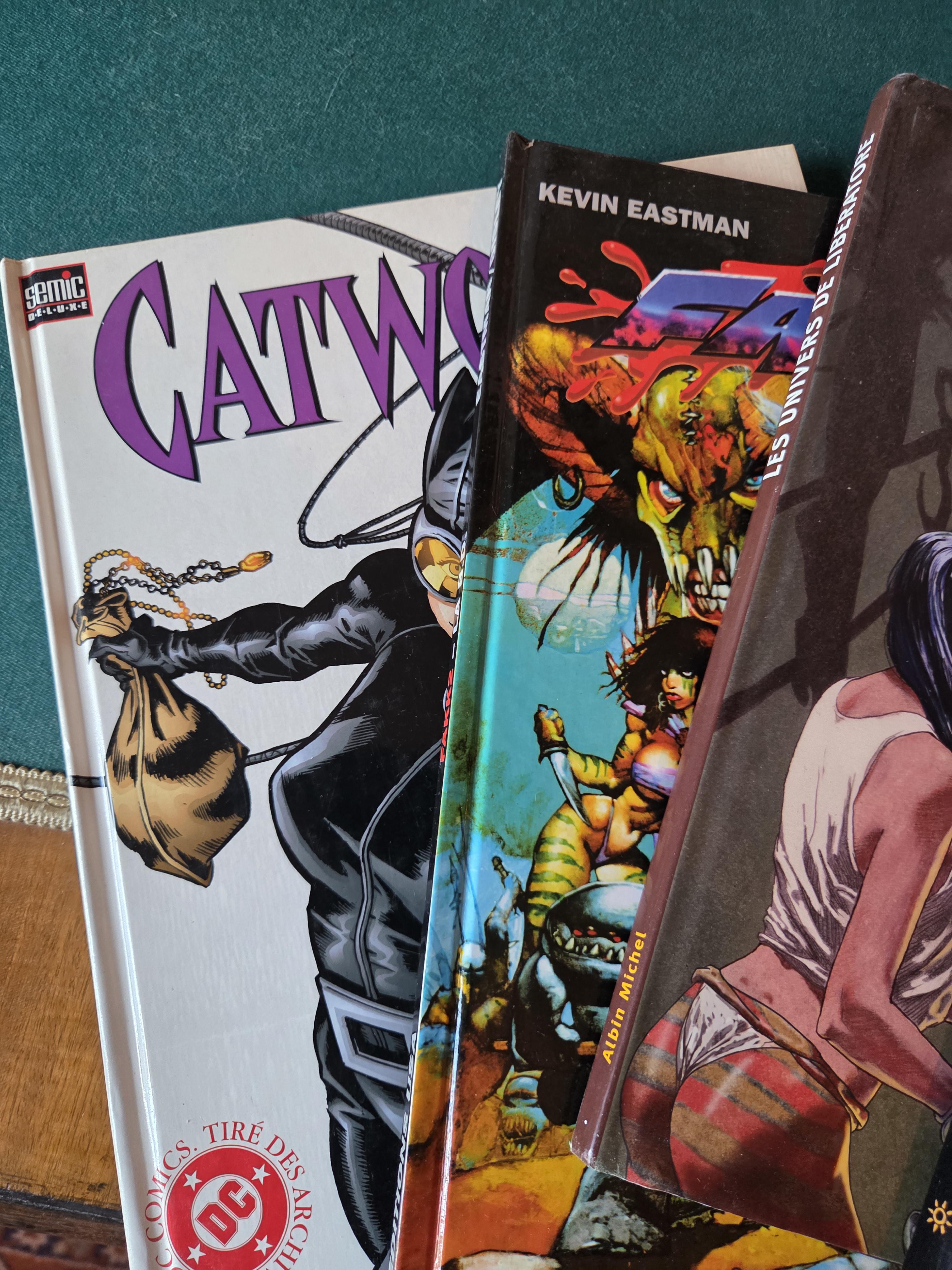 Lot strips en graphic novels waaronder Catwoman en Lobo lot 9 – foto 2 – kavel bij Goeiendeal, Jette