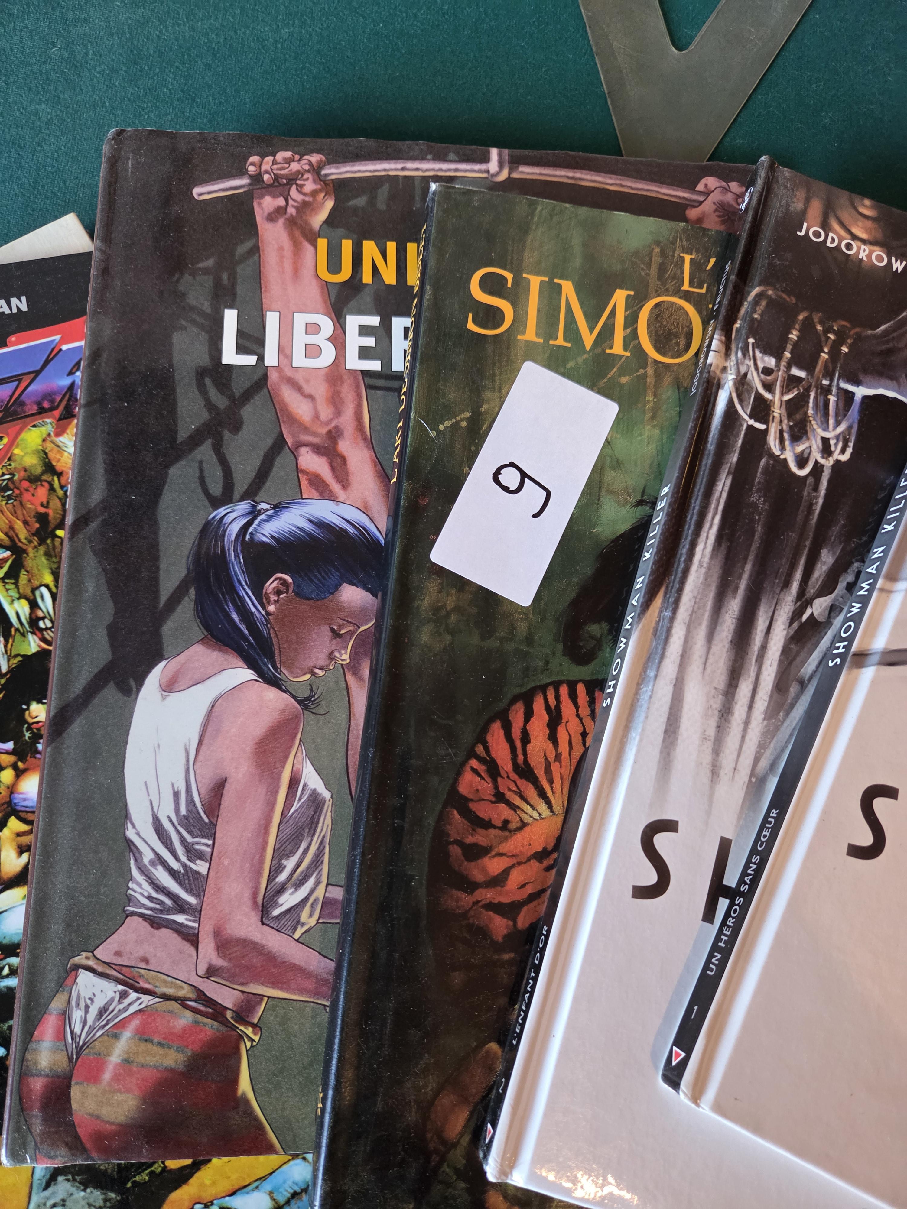 Lot strips en graphic novels waaronder Catwoman en Lobo lot 9 – foto 3 – kavel bij Goeiendeal, Jette
