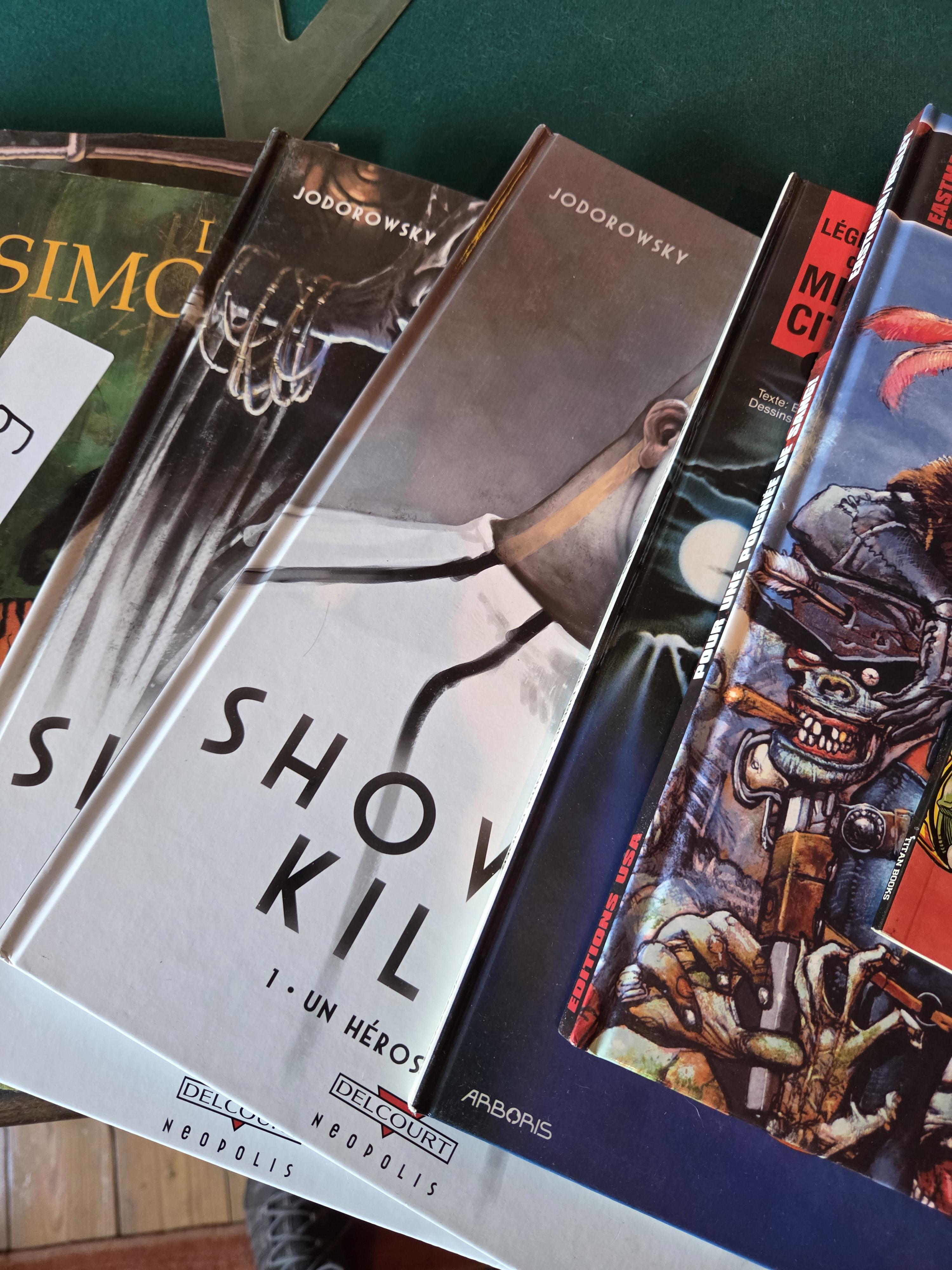 Lot strips en graphic novels waaronder Catwoman en Lobo lot 9 – foto 4 – kavel bij Goeiendeal, Jette