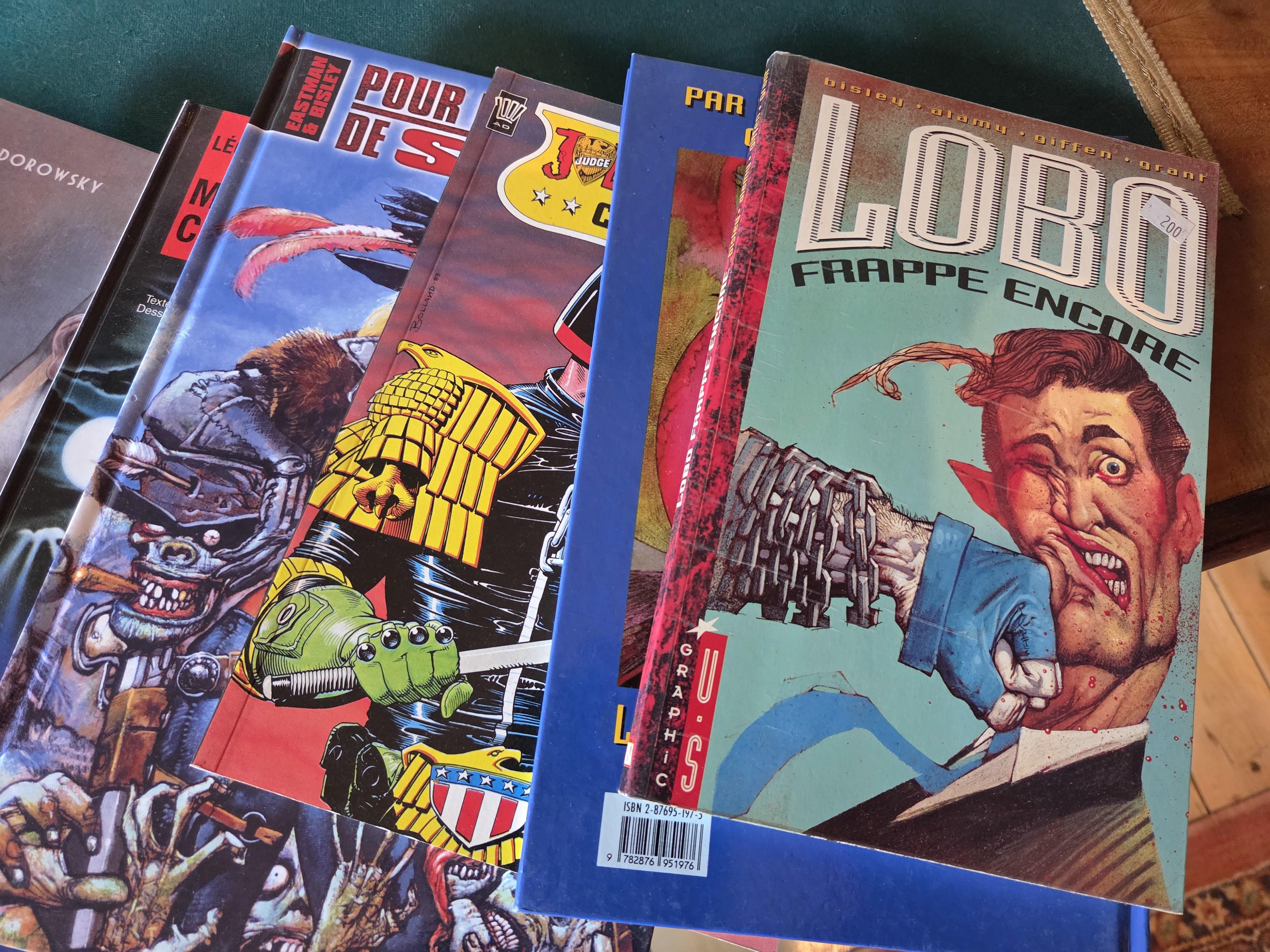 Lot strips en graphic novels waaronder Catwoman en Lobo lot 9 – foto 5 – kavel bij Goeiendeal, Jette