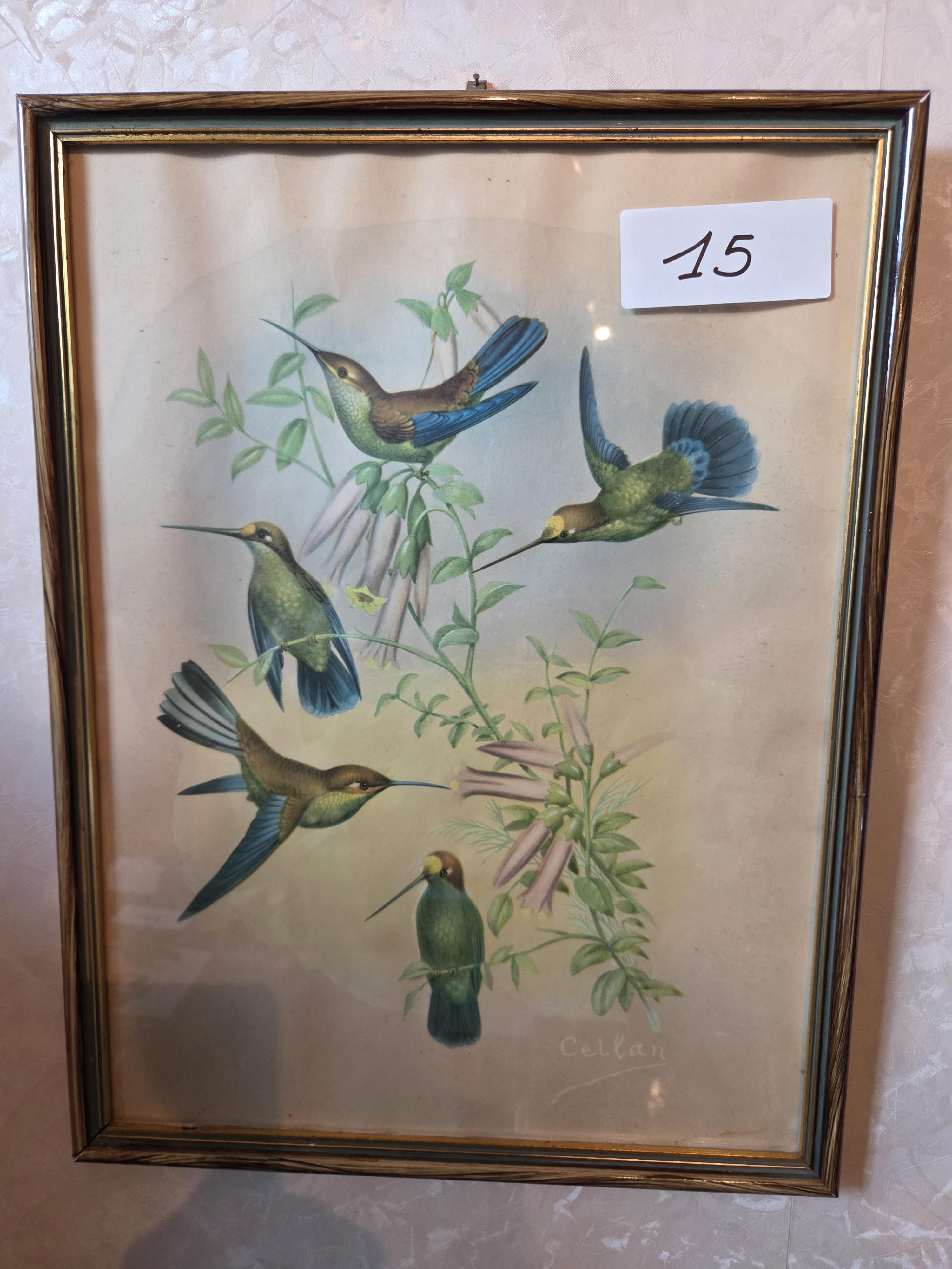 Ingekaderde prent met kolibries en bloemen, gesigneerd Cellan lot 15 – kavel bij Goeiendeal, Jette