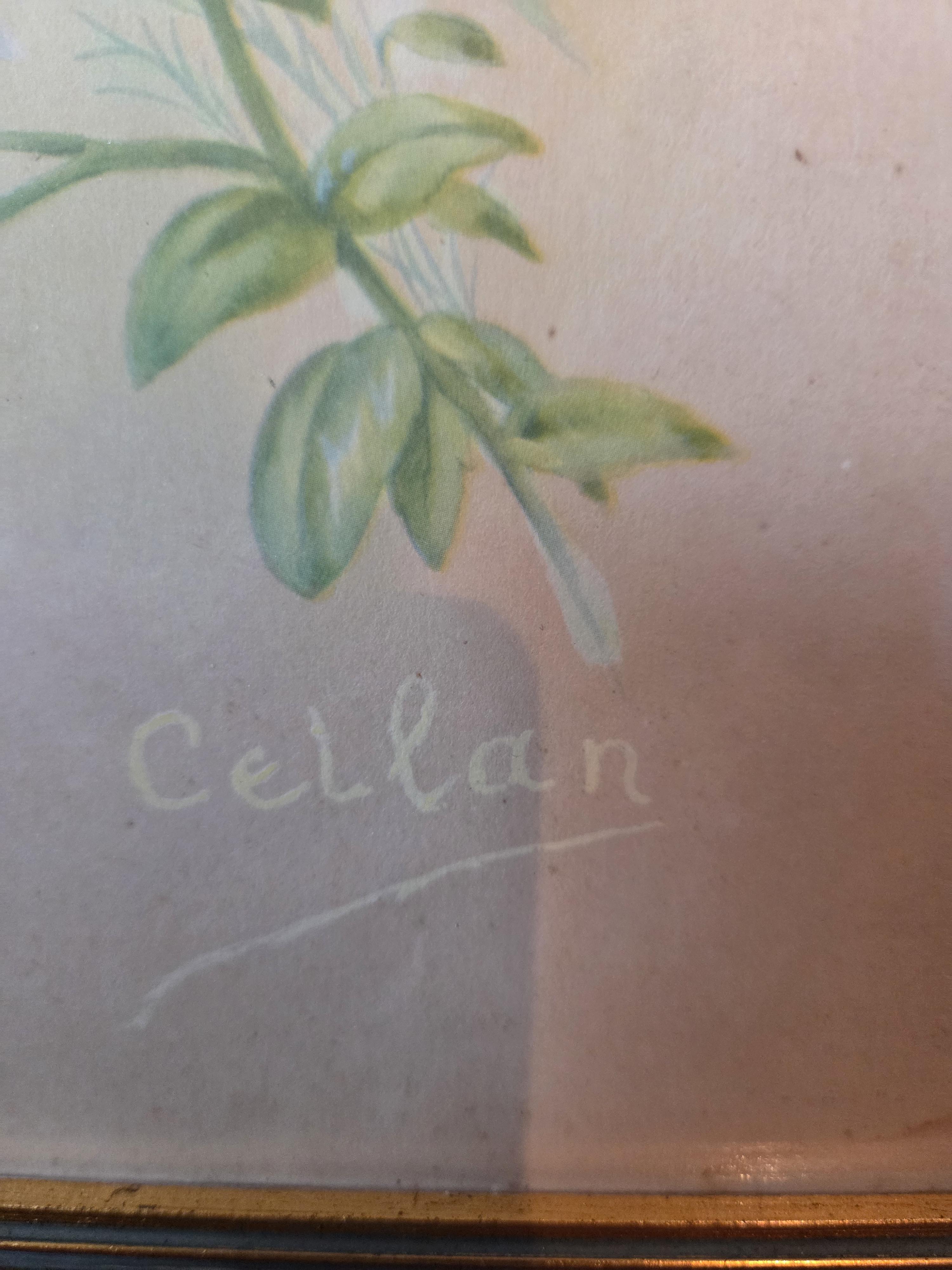 Ingekaderde prent met kolibries en bloemen, gesigneerd Cellan lot 15 – foto 4 – kavel bij Goeiendeal, Jette