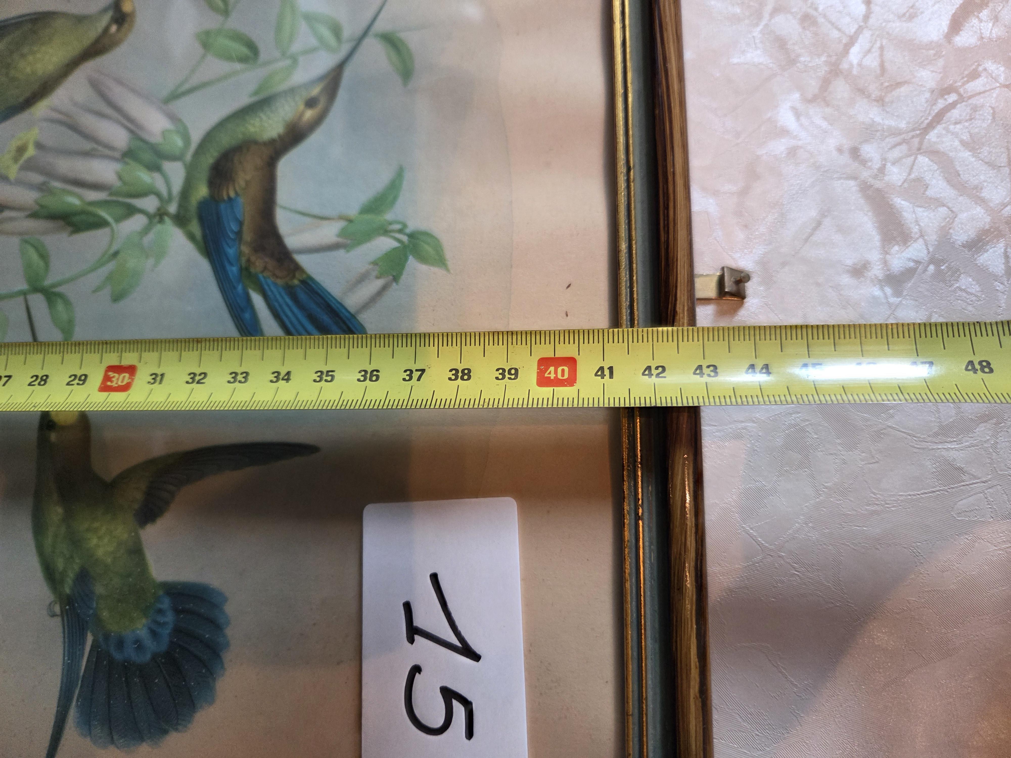 Ingekaderde prent met kolibries en bloemen, gesigneerd Cellan lot 15 – foto 6 – kavel bij Goeiendeal, Jette