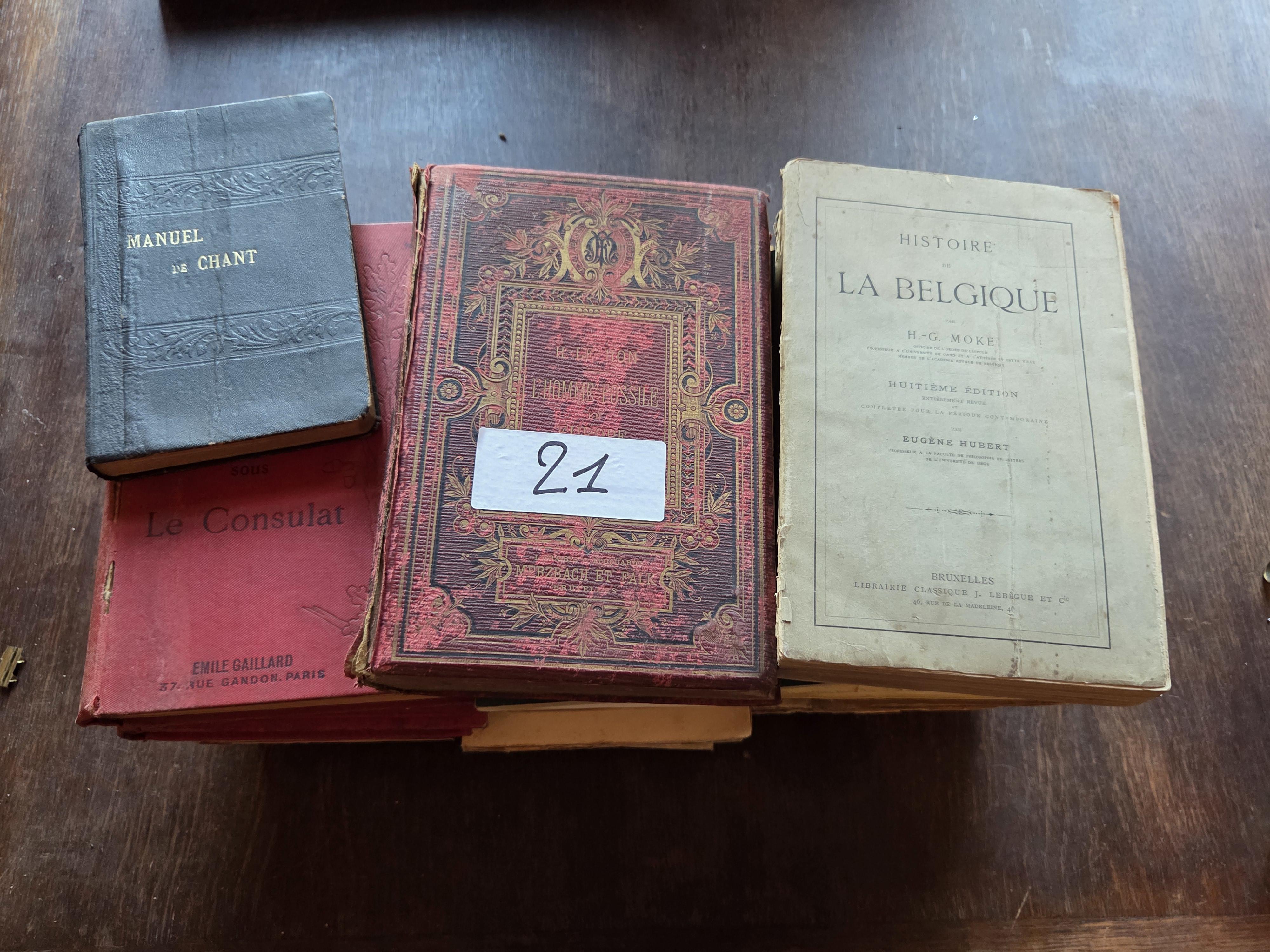 Stapel antieke en historische boeken waaronder "Histoire de la Belgique" van H.G. Moke lot 21 – kavel bij Goeiendeal, Jette