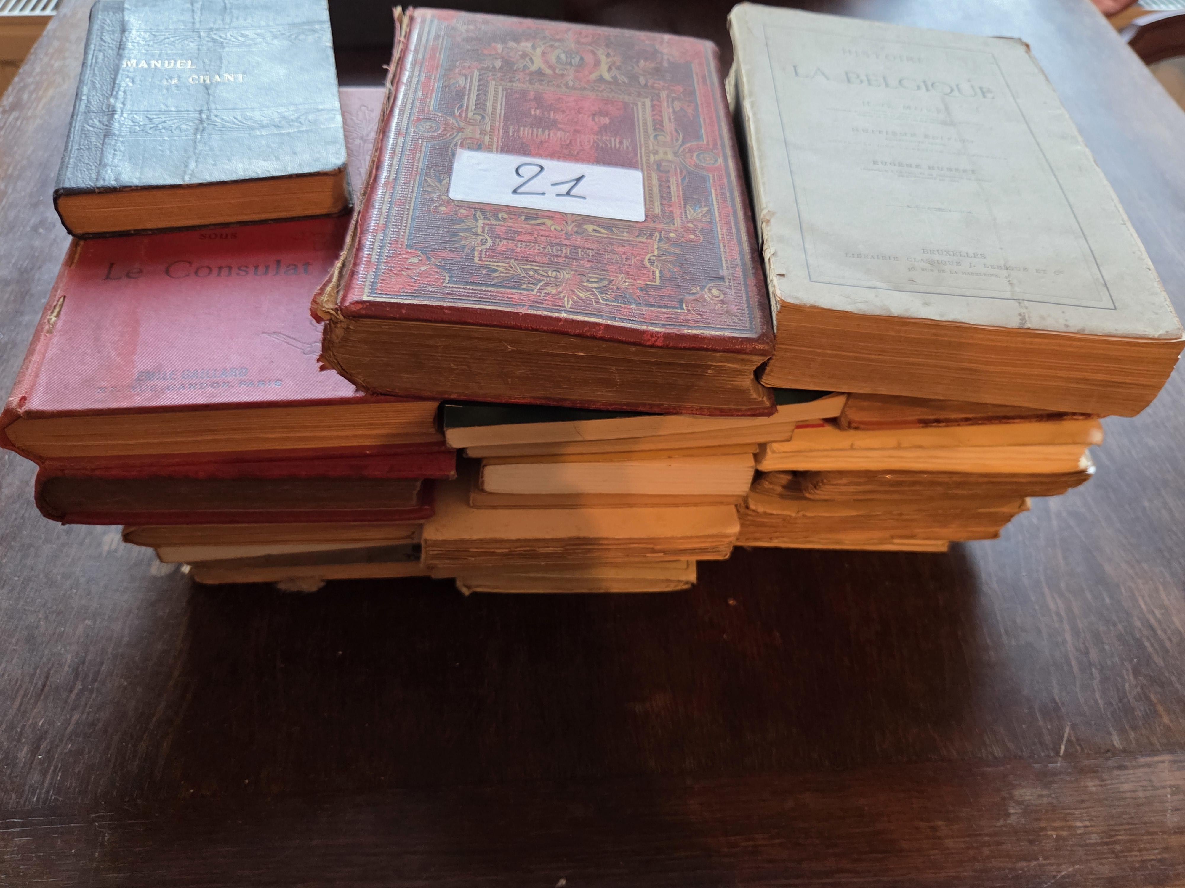 Stapel antieke en historische boeken waaronder "Histoire de la Belgique" van H.G. Moke lot 21 – foto 2 – kavel bij Goeiendeal, Jette