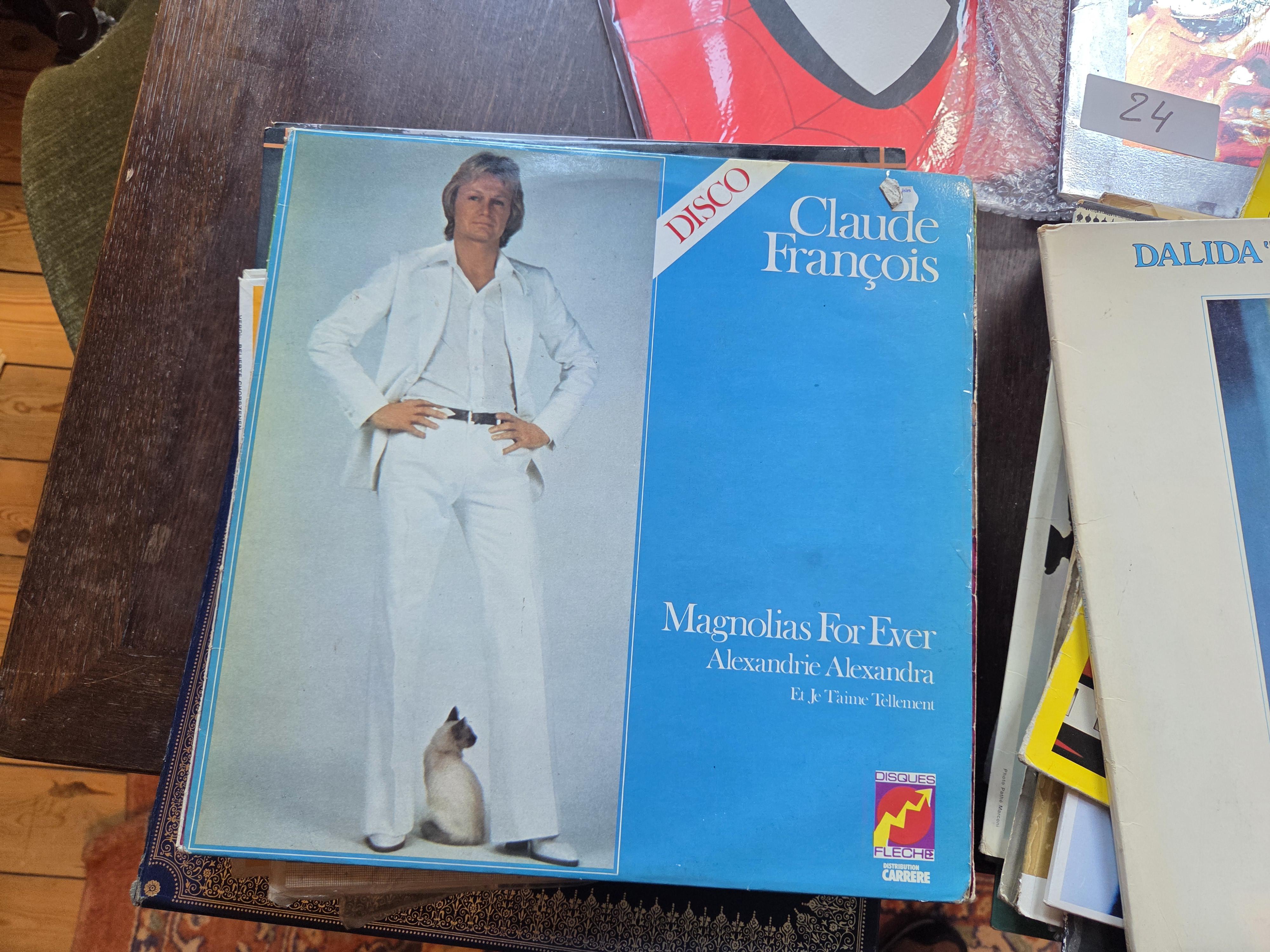 Groot lot lps (33 toeren) waaronder Claude François en Dalida & Spiderman boek lot 24 – foto 4 – kavel bij Goeiendeal, Jette