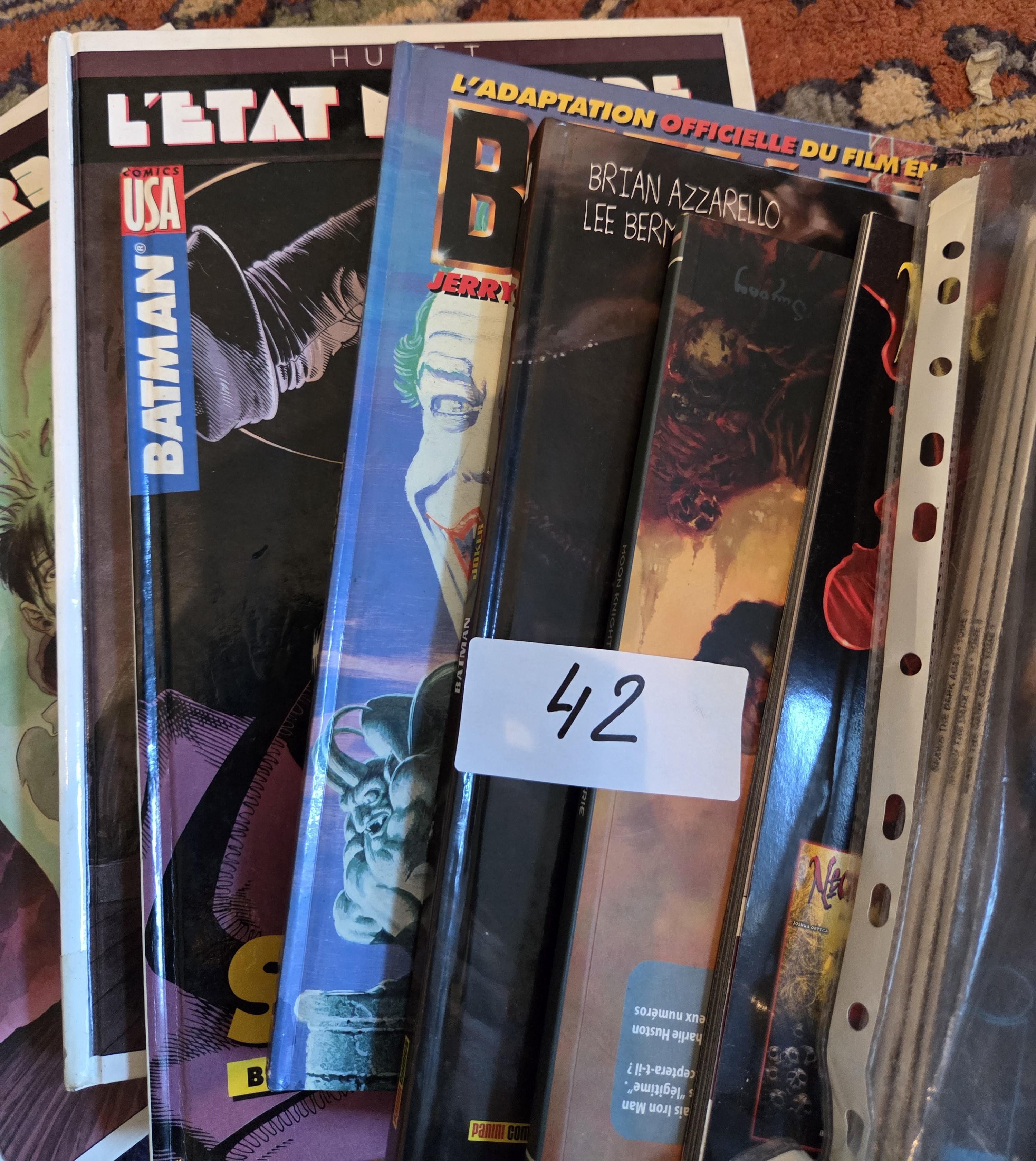 Groot lot diverse comics en graphic novels waaronder Batman en Hellcop lot 42 – foto 3 – kavel bij Goeiendeal, Jette