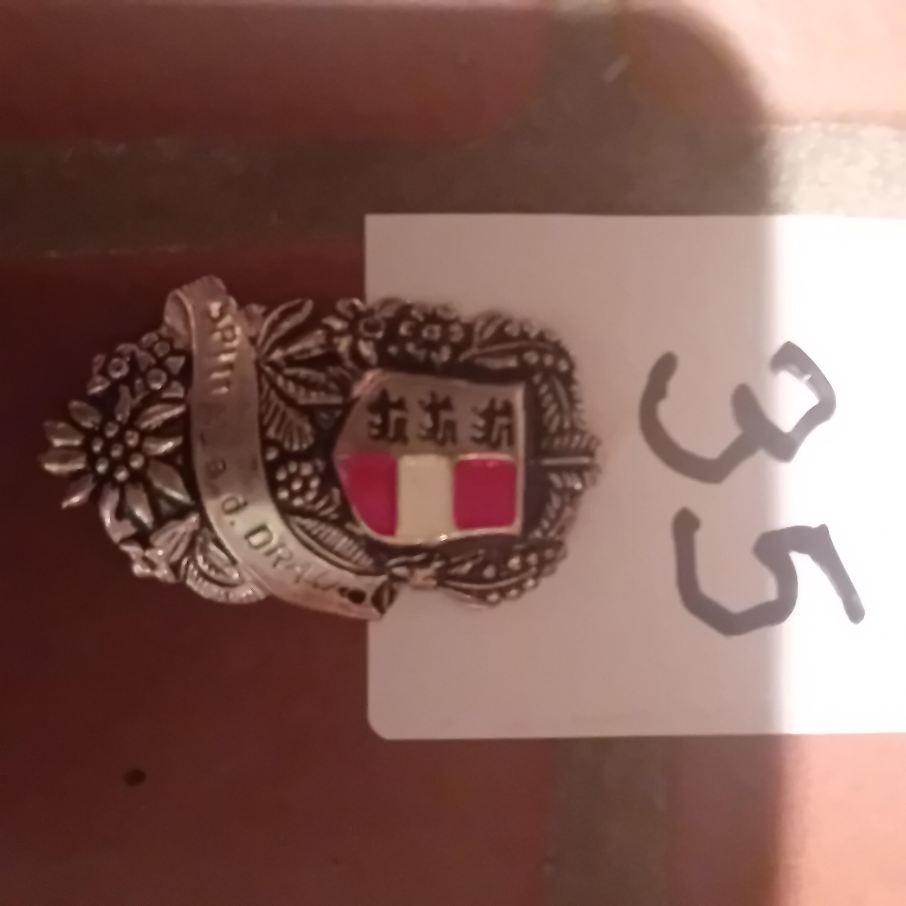 Wandelstokschildje / insigne met bloemdecoratie en wapenschild van Spittal a. d. Drau lot 35 – kavel bij Goeiendeal, Lommel